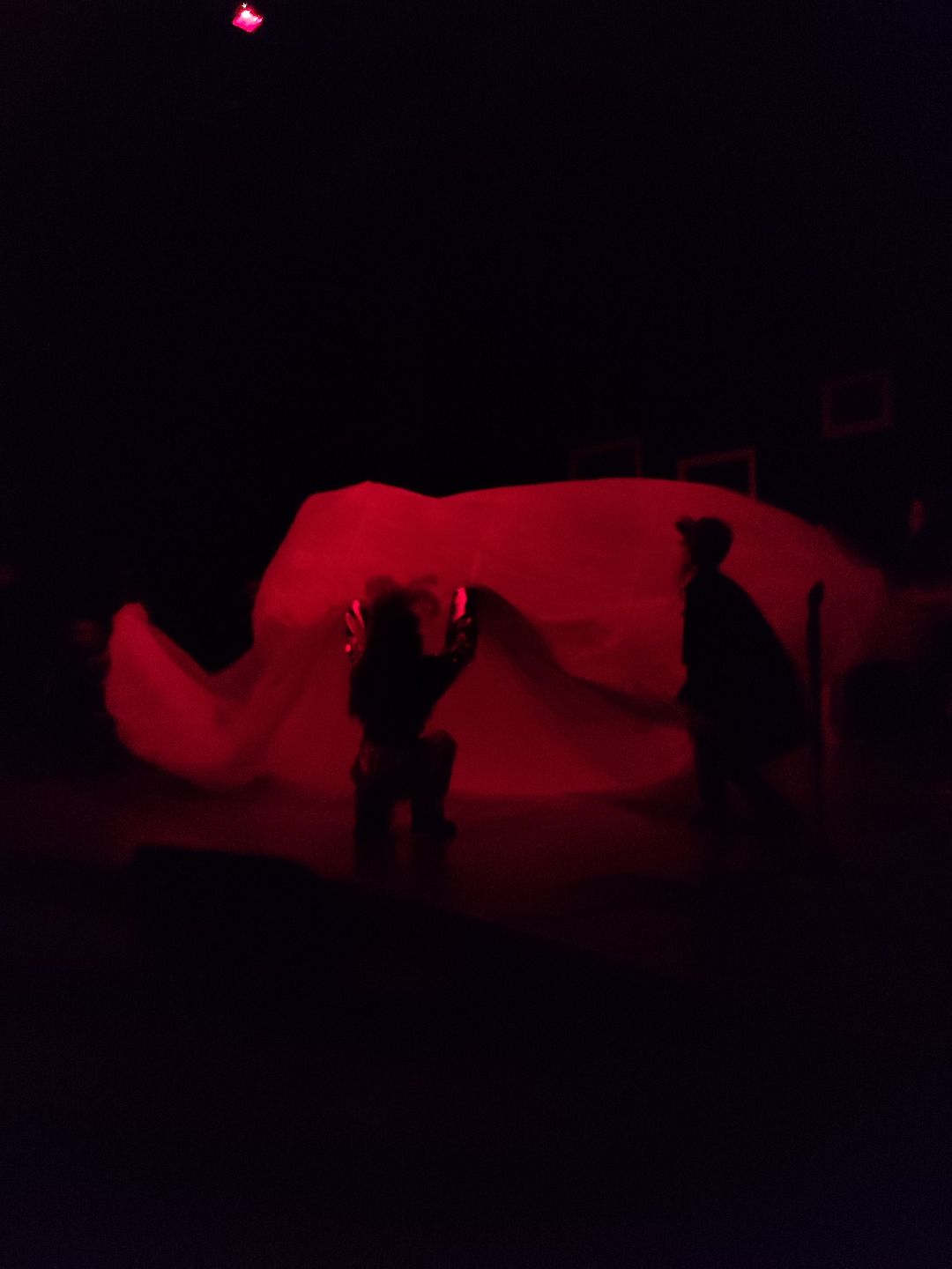 Звенигород, общество