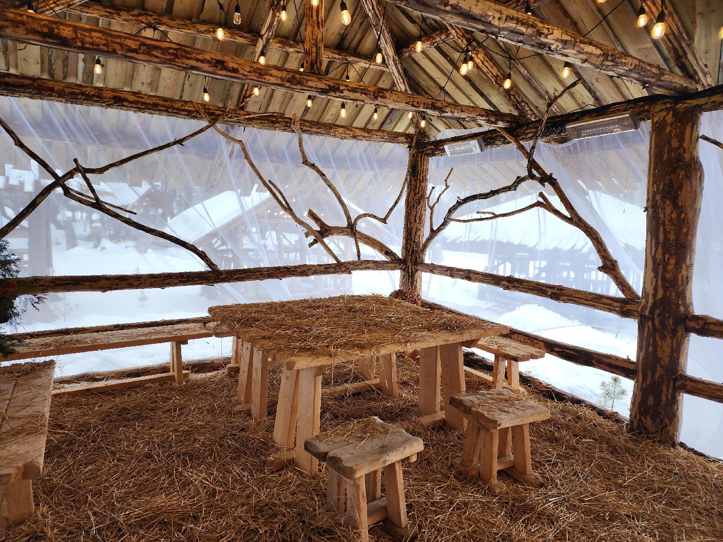 серпухов, подмосковье, хутор спасский, мининвест, овцы, верблюды, агротуризм,минсельхоз, бараны,