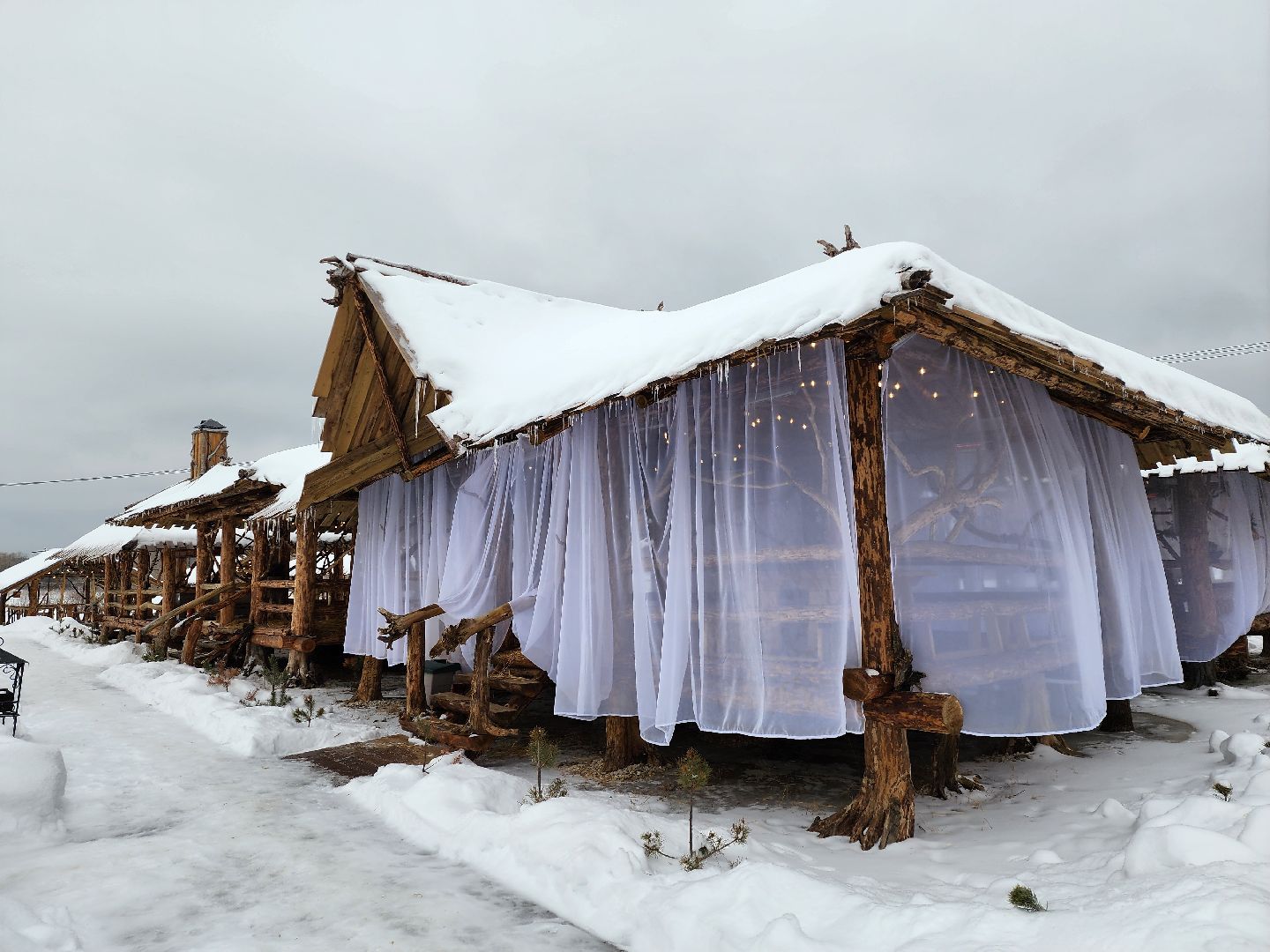 серпухов, подмосковье, хутор спасский, мининвест, овцы, верблюды, агротуризм,минсельхоз, бараны,
