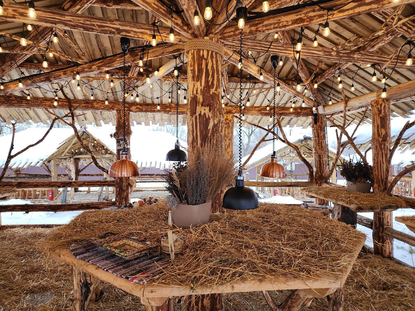 серпухов, подмосковье, хутор спасский, мининвест, овцы, верблюды, агротуризм,минсельхоз, бараны,