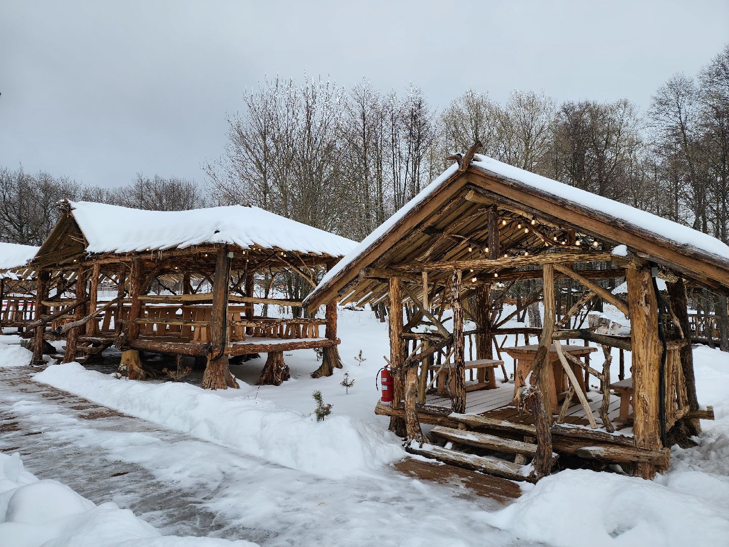 серпухов, подмосковье, хутор спасский, мининвест, овцы, верблюды, агротуризм,минсельхоз, бараны,