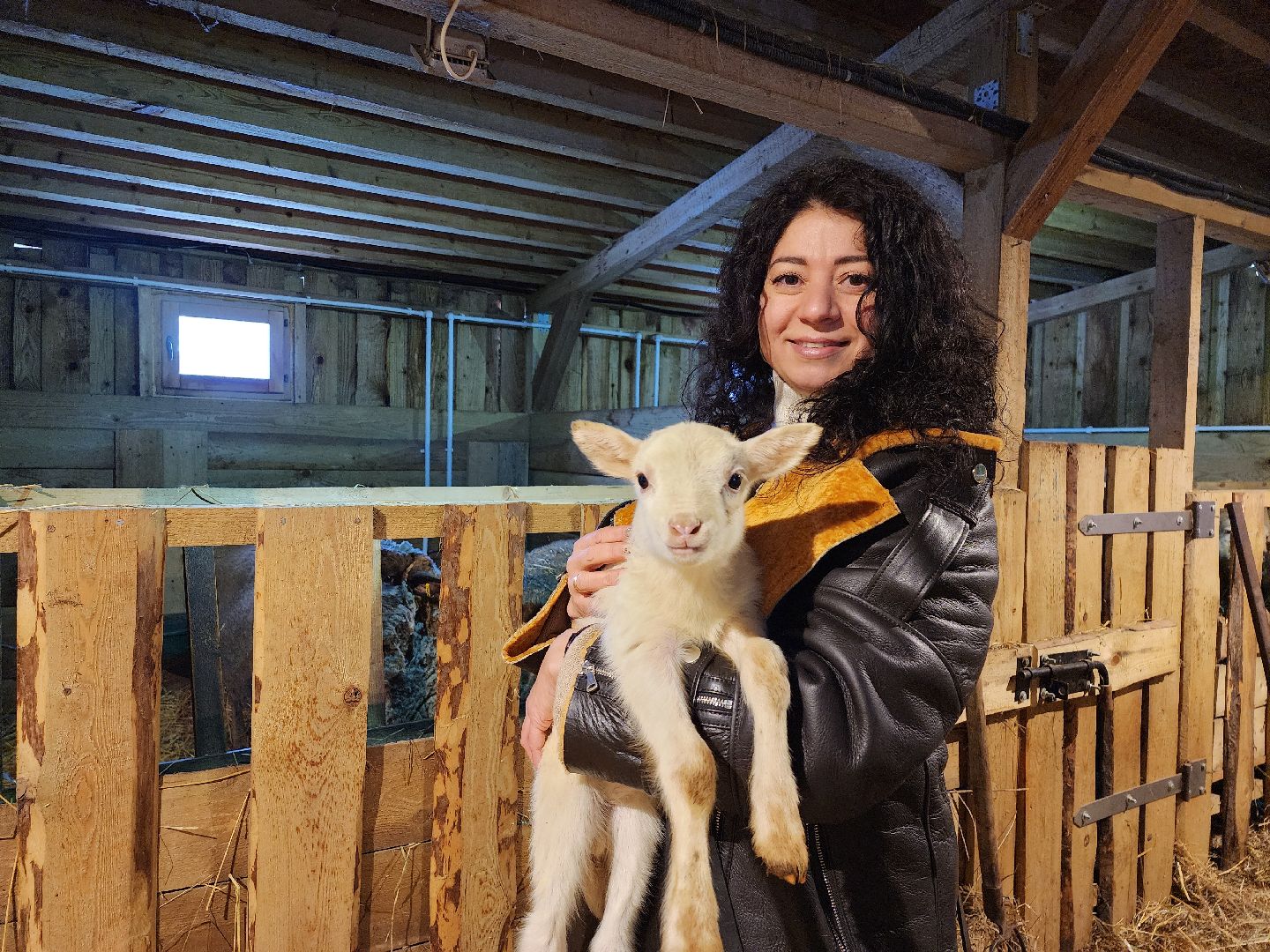 серпухов, подмосковье, хутор спасский, мининвест, овцы, верблюды, агротуризм,минсельхоз, бараны,