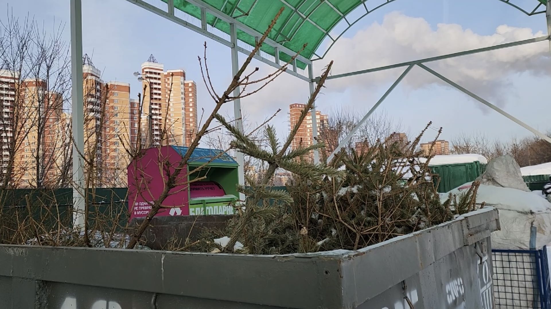 химки, экология, мегабак, переработка, ёлка, подари своей елке вторую жизнь,