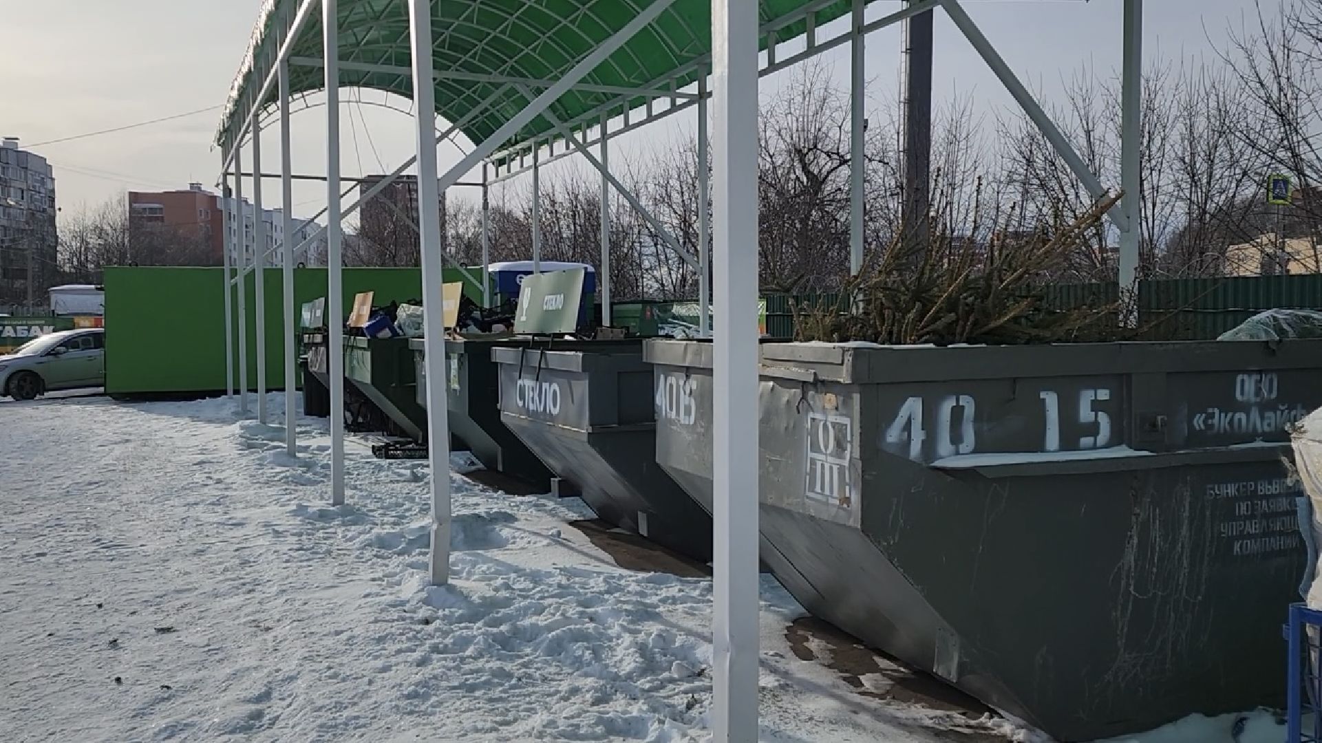 химки, экология, мегабак, переработка, ёлка, подари своей елке вторую жизнь,