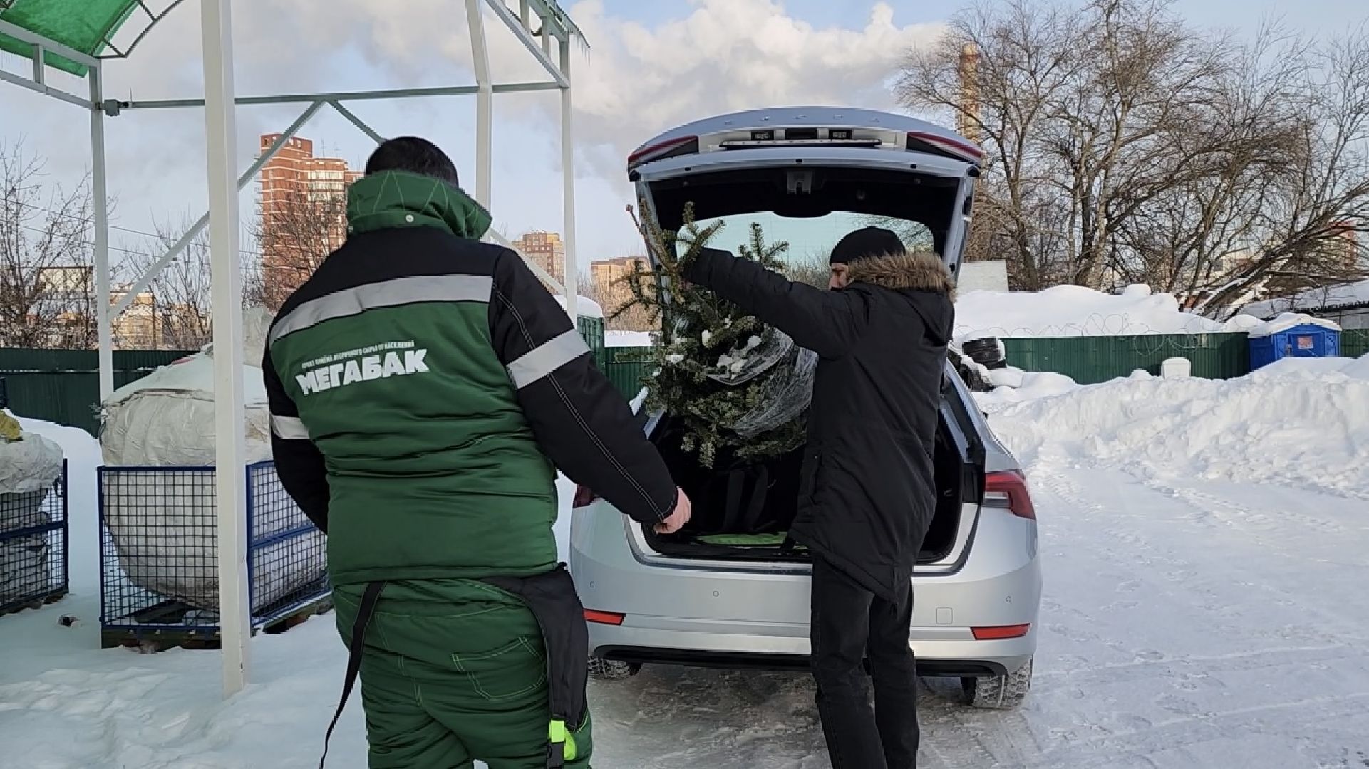 химки, экология, мегабак, переработка, ёлка, подари своей елке вторую жизнь,