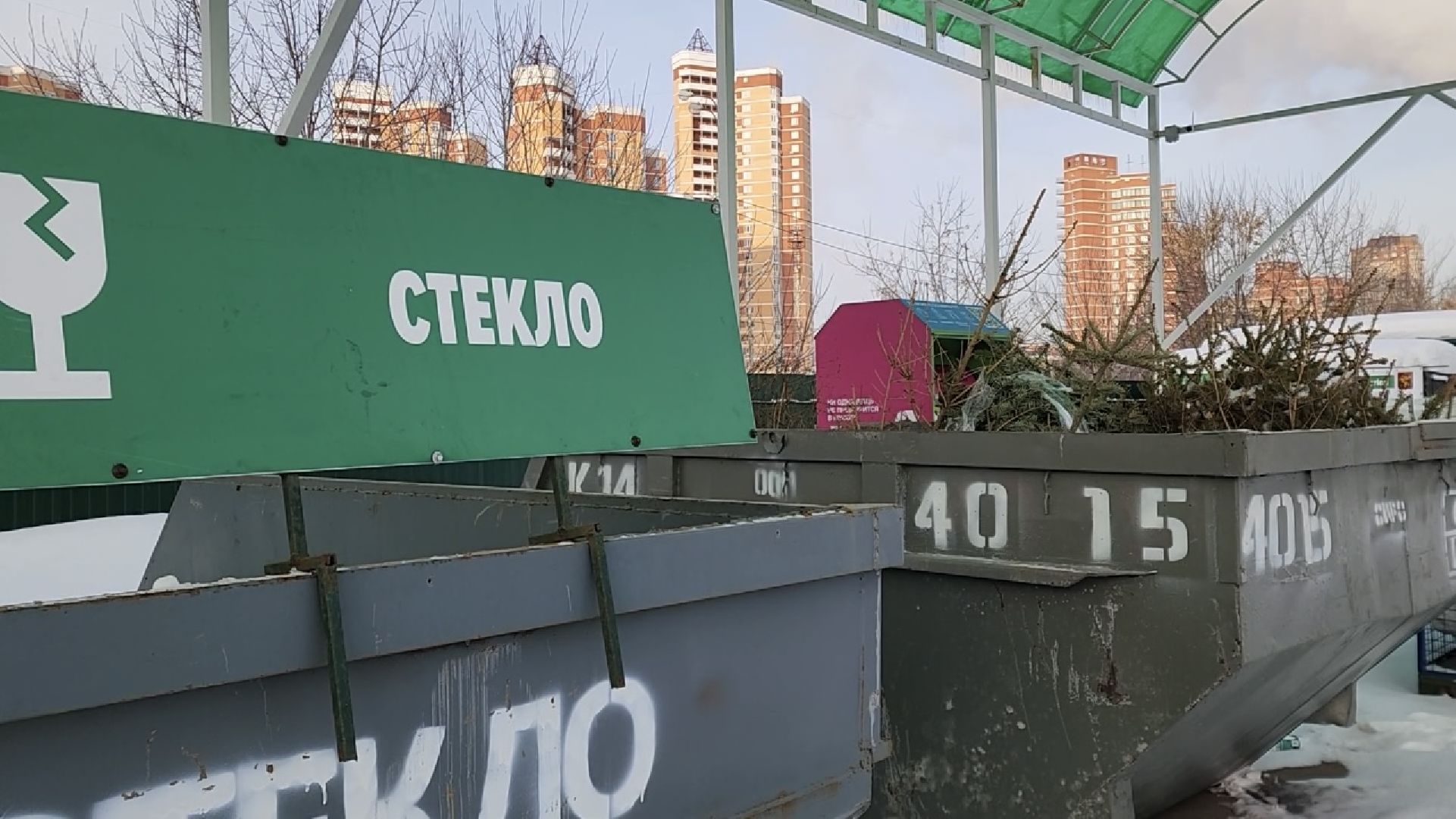 химки, экология, мегабак, переработка, ёлка, подари своей елке вторую жизнь,