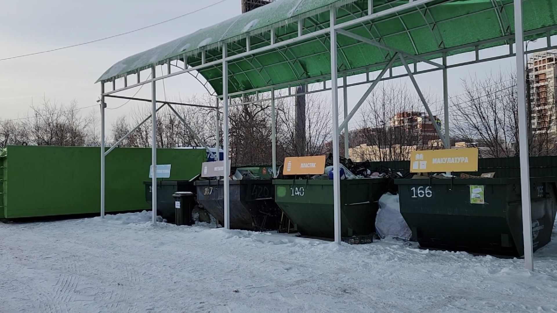 химки, экология, мегабак, переработка, ёлка, подари своей елке вторую жизнь,