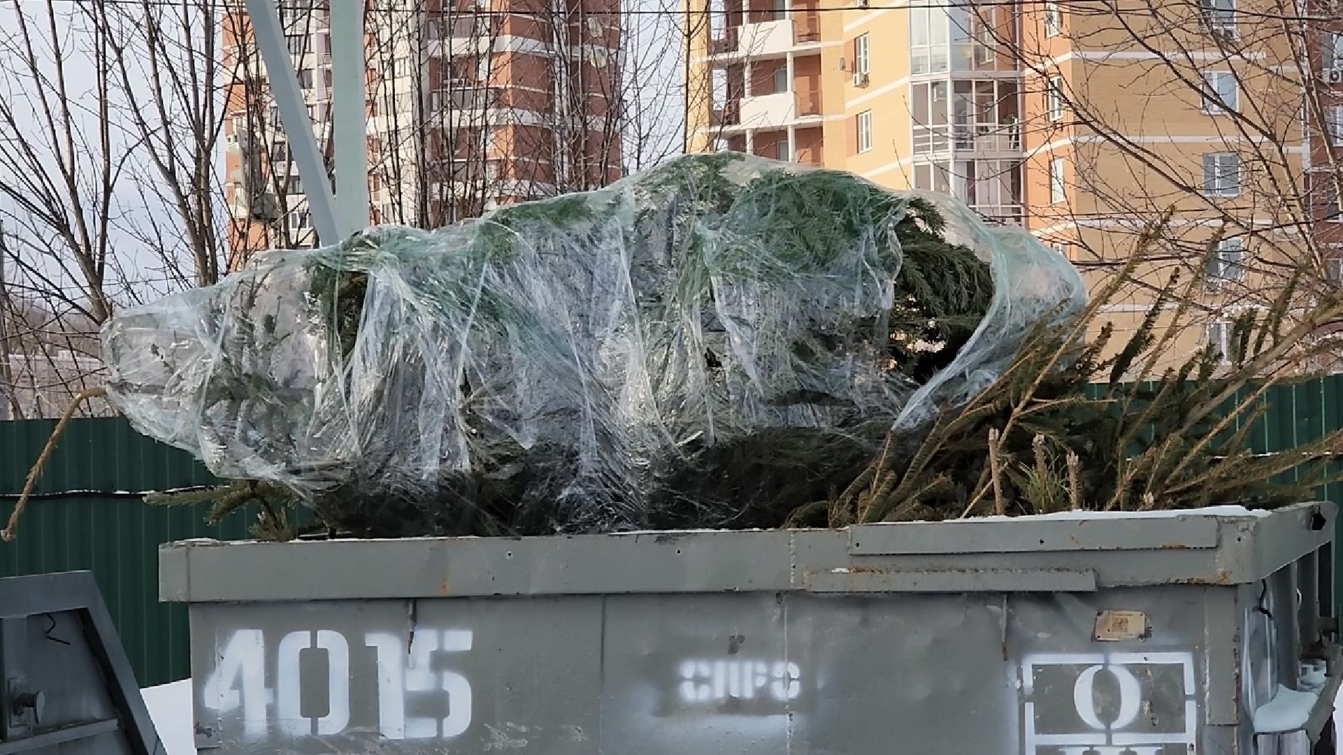 химки, экология, мегабак, переработка, ёлка, подари своей елке вторую жизнь,