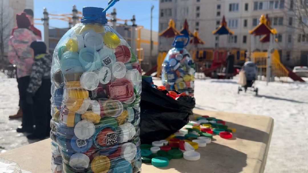 экодвор, акция, экология