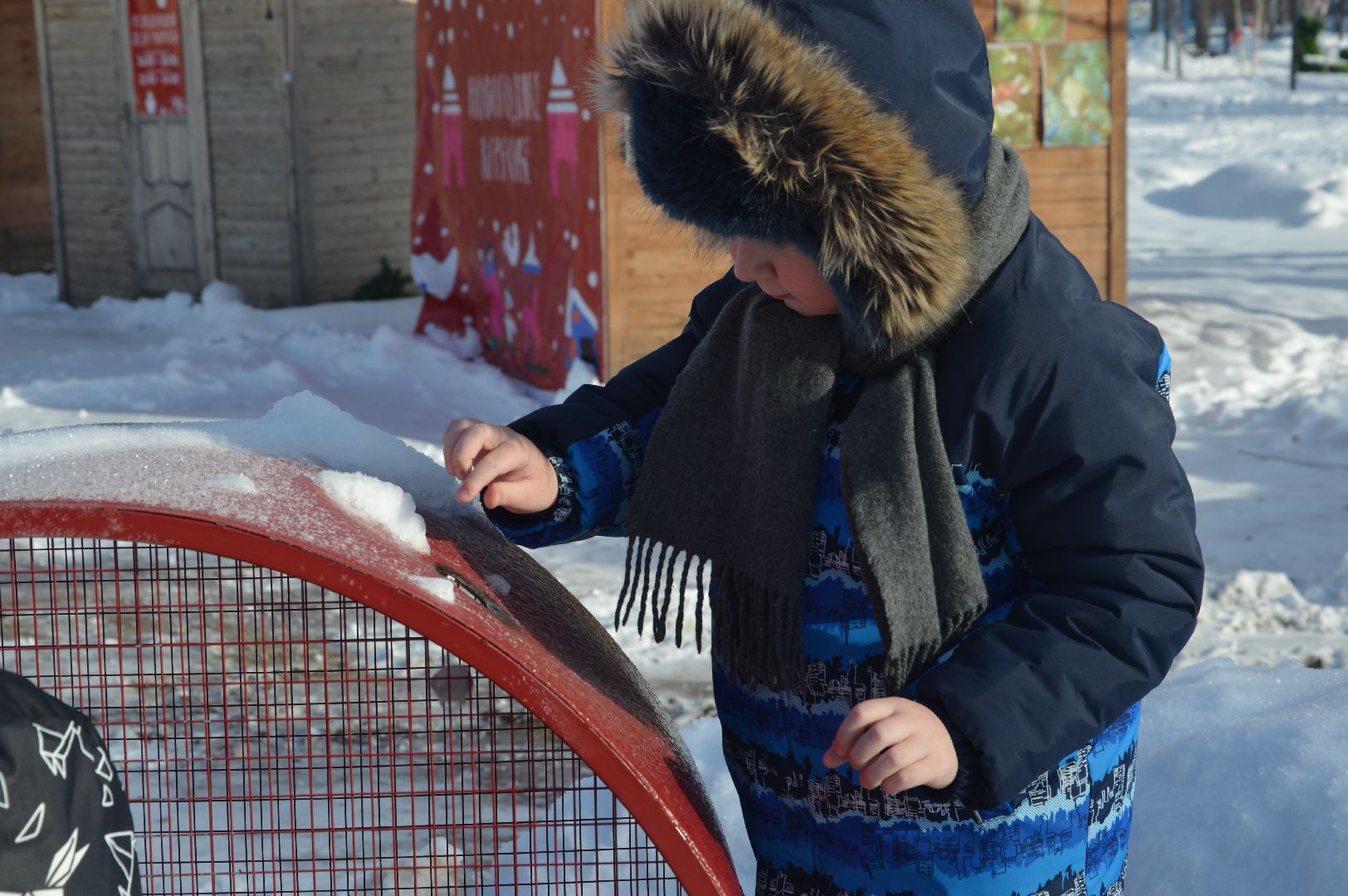 международная экологическая акция, международная акция, шатура, крышки 2024, парк, экология, экологическое дело,