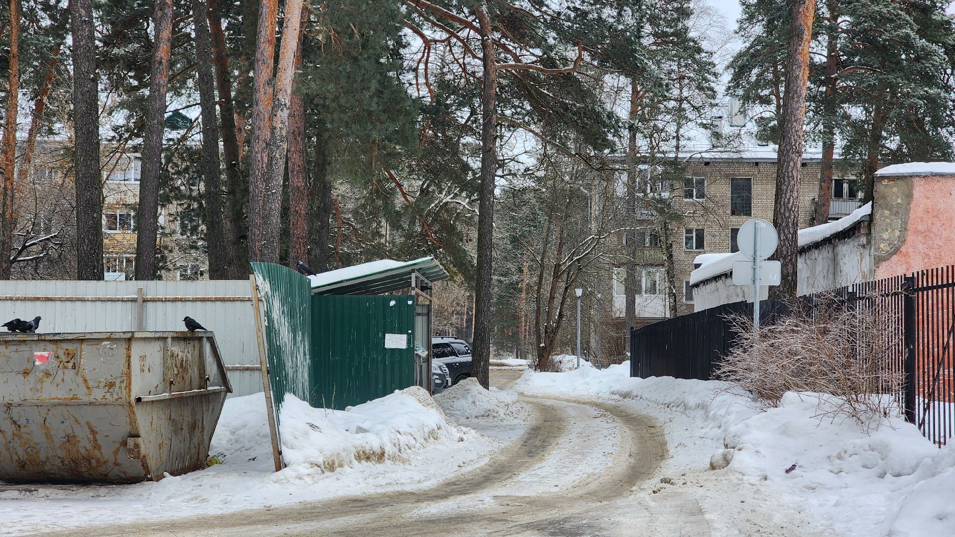 знаки, знаки запрета парковки, парковка запрещена, контейнерная площадка, протвино, подмосковье, пдд,