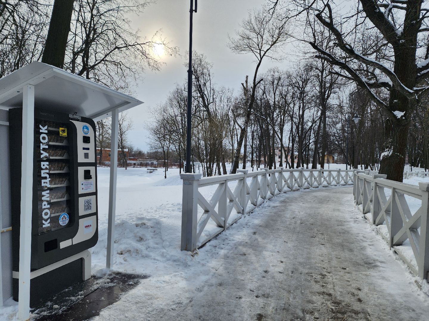 воскресенск, жкх, уборка снега, парк кривякино,