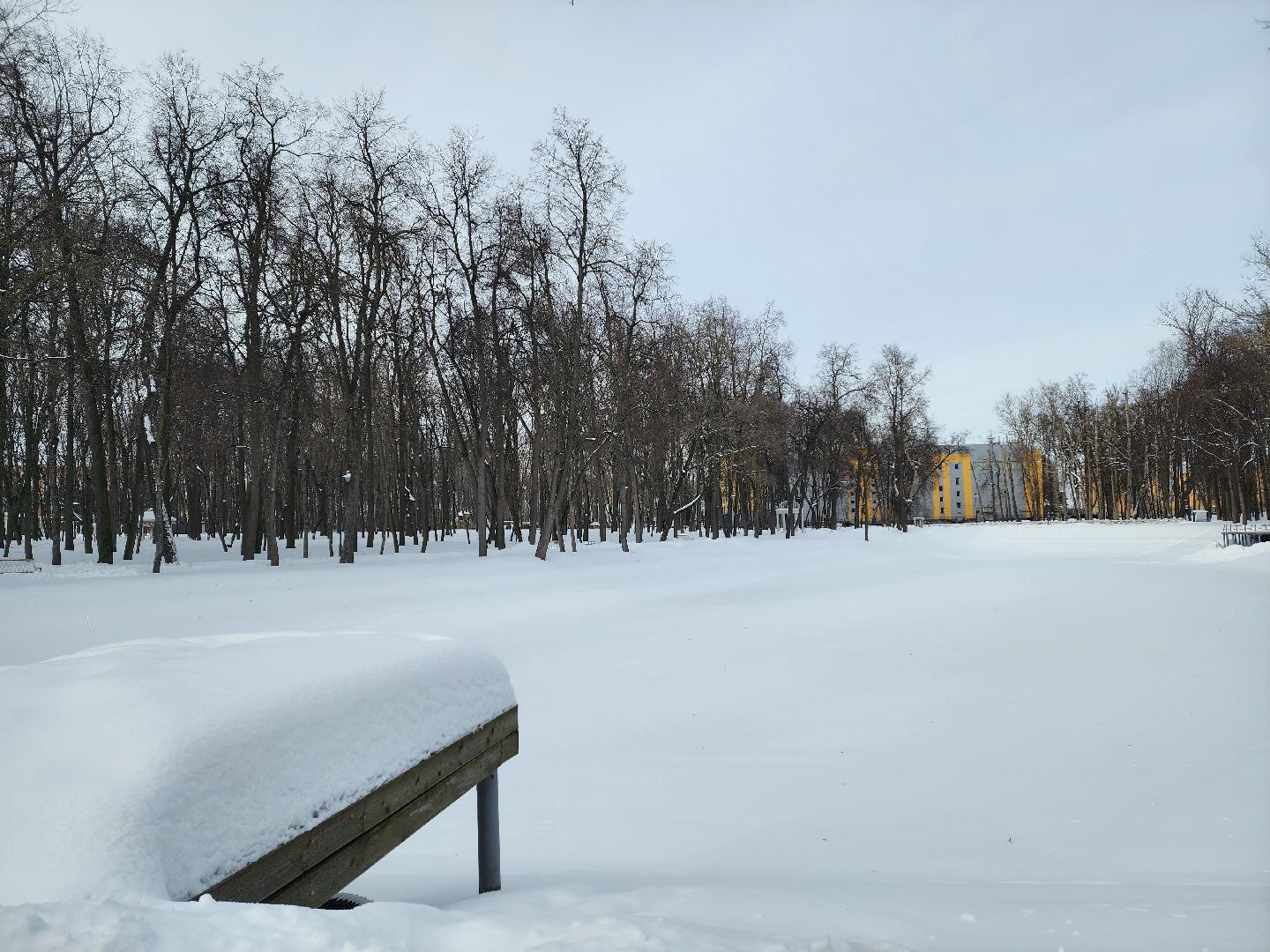 воскресенск, жкх, уборка снега, парк кривякино,