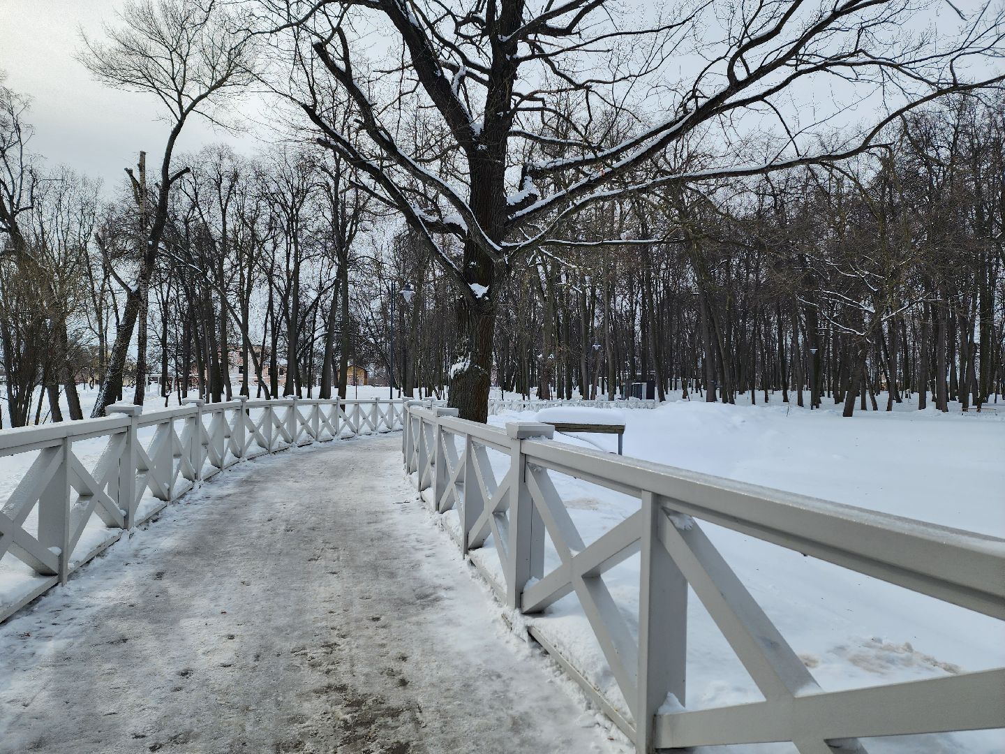 воскресенск, жкх, уборка снега, парк кривякино,