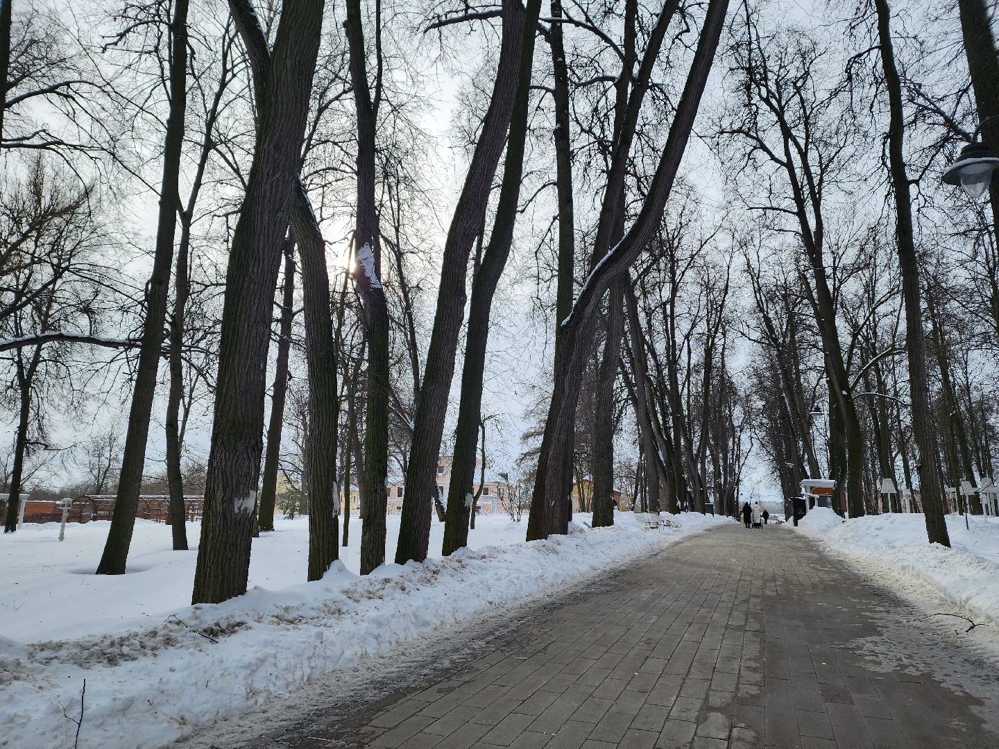 воскресенск, жкх, уборка снега, парк кривякино,
