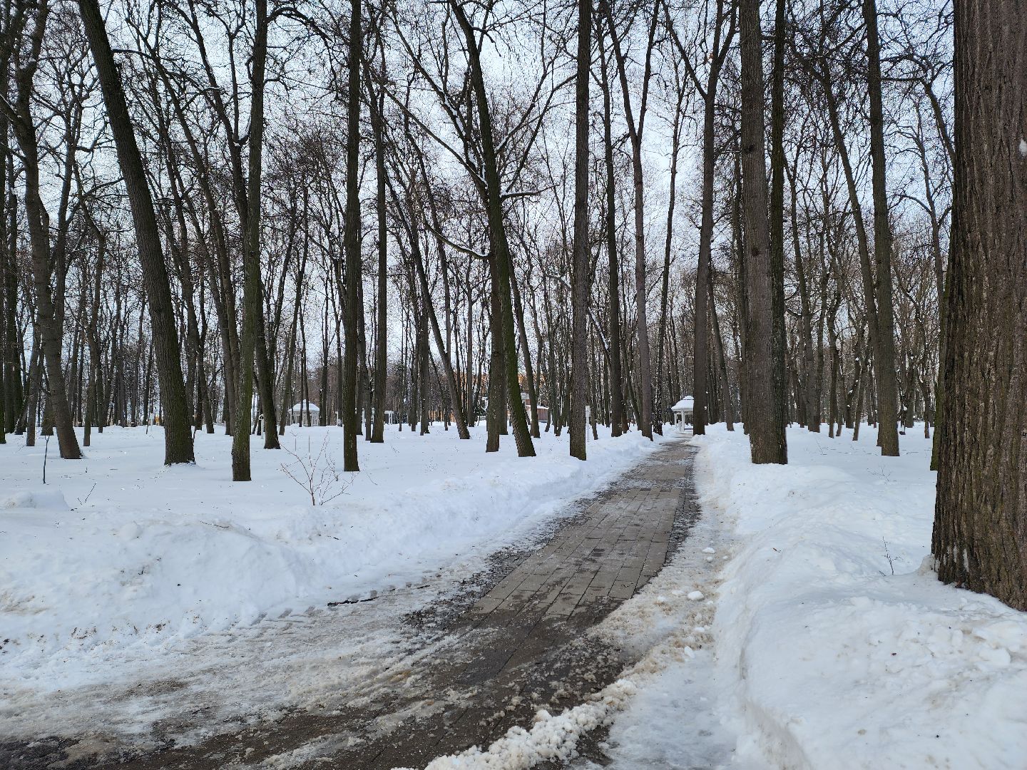 воскресенск, жкх, уборка снега, парк кривякино,