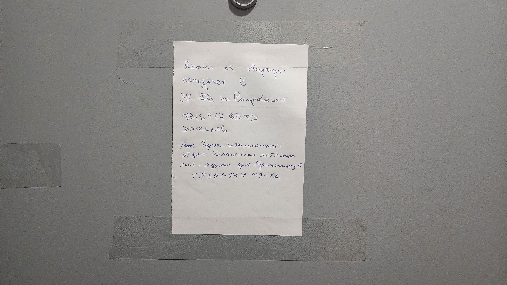 спасение собаки, волонтеры,