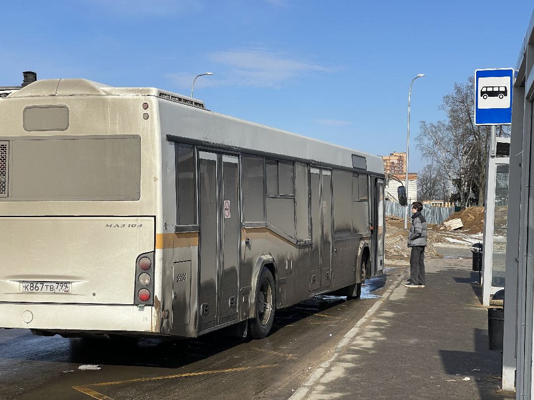 Благоустройство, Одинцовский городской округ, мцд, мцд-4, Лесной Городок, голосование, администрация, сквер, парковка,