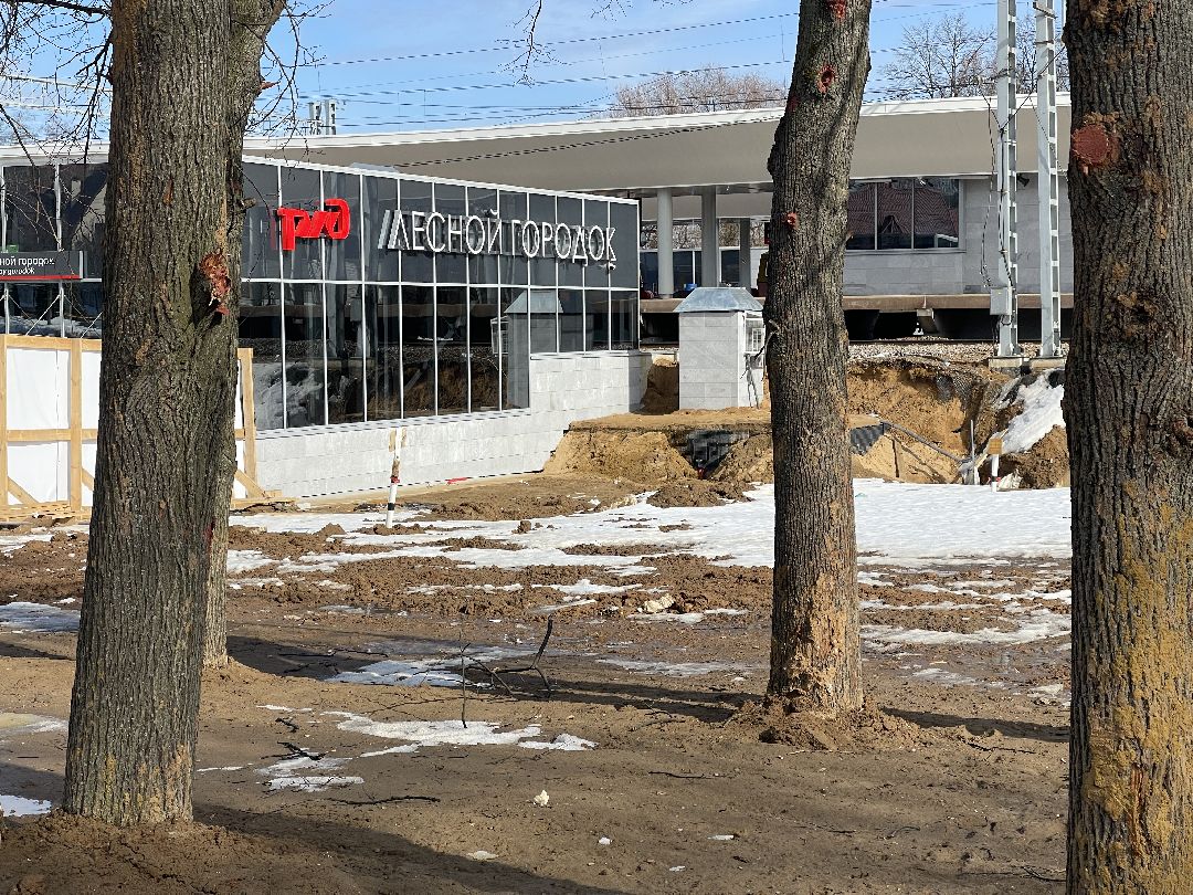 Благоустройство, Одинцовский городской округ, мцд, мцд-4, Лесной Городок, голосование, администрация, сквер, парковка,