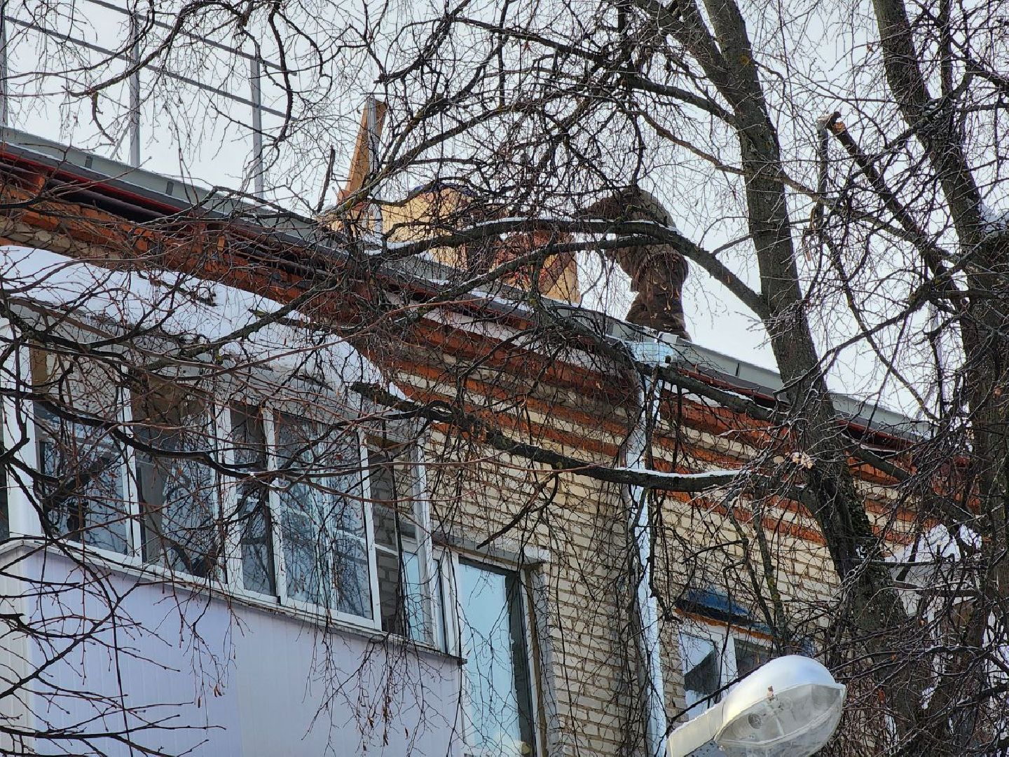 мытищи, капитальный ремонт, ремонт кровли, улица Щербакова,