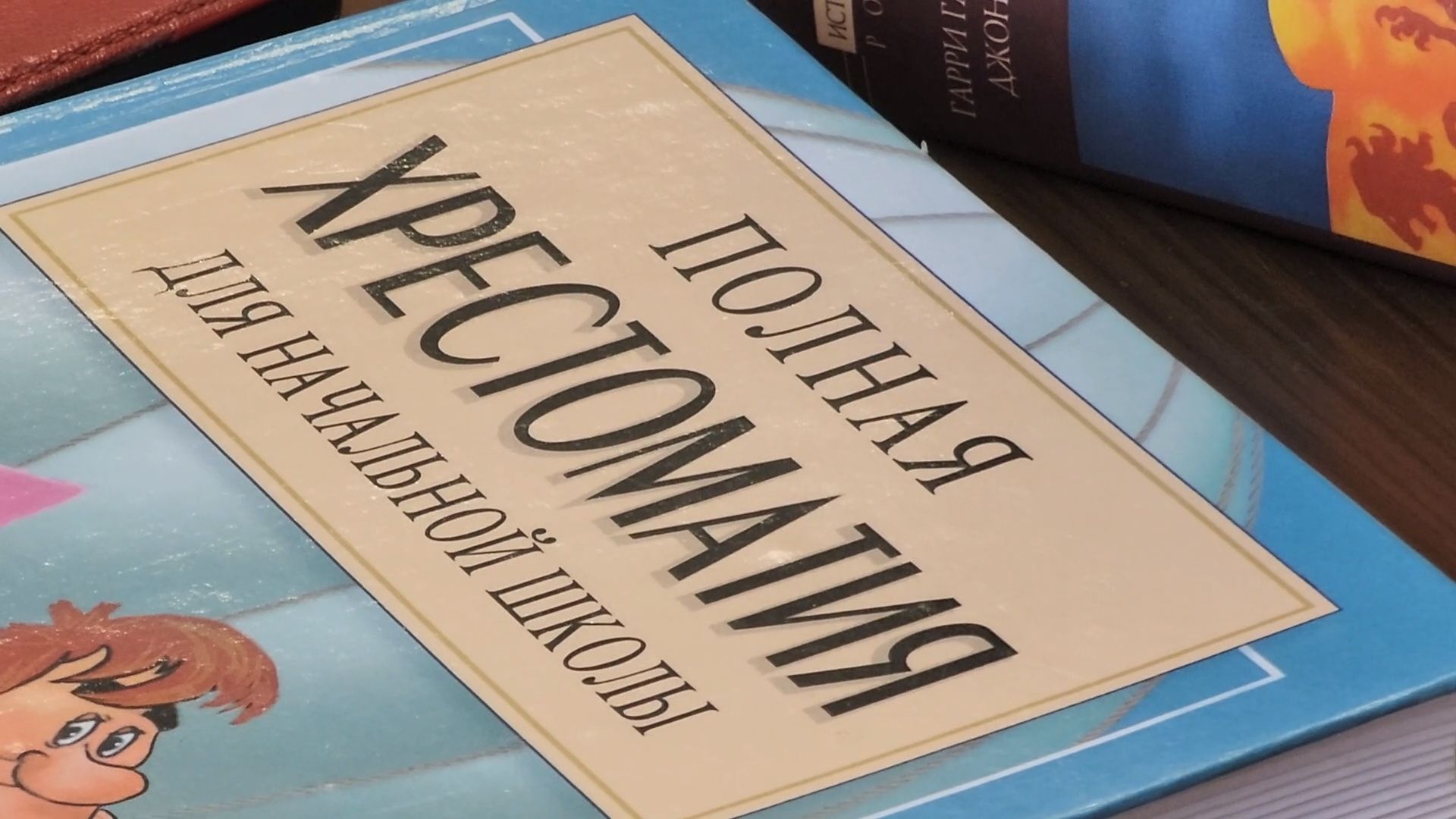 День книгодарения, Библиотека семейного чтения, Акция, Детский лагерь, Книги, Дубна,