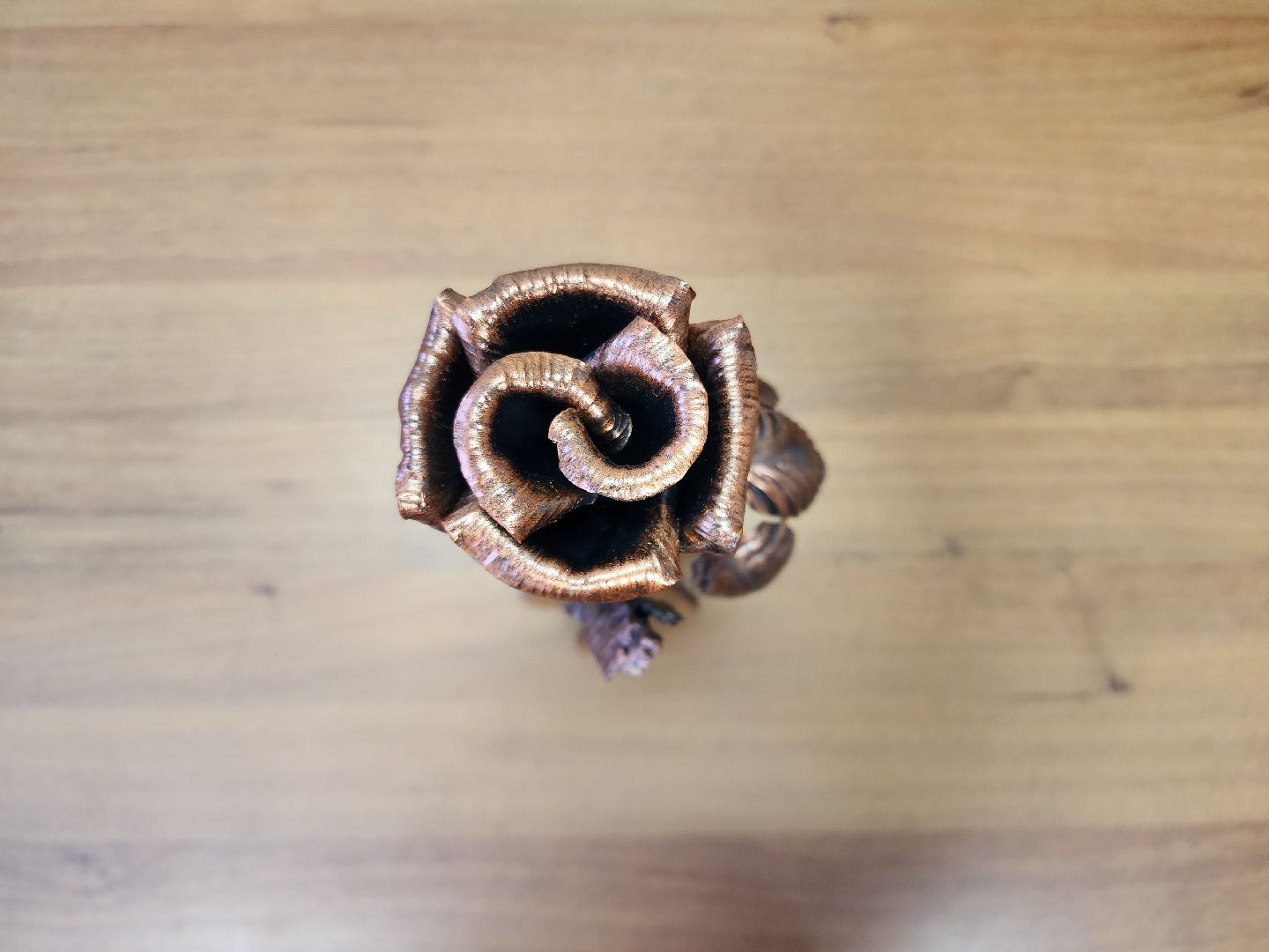 ДНР, СВО, Розы Донецка,