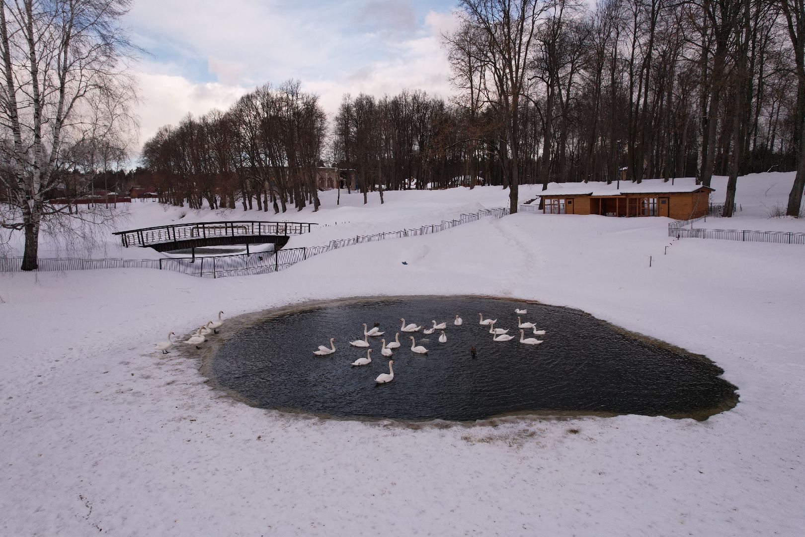 видео с коптера, лосино-петровский, культура, усадьба,