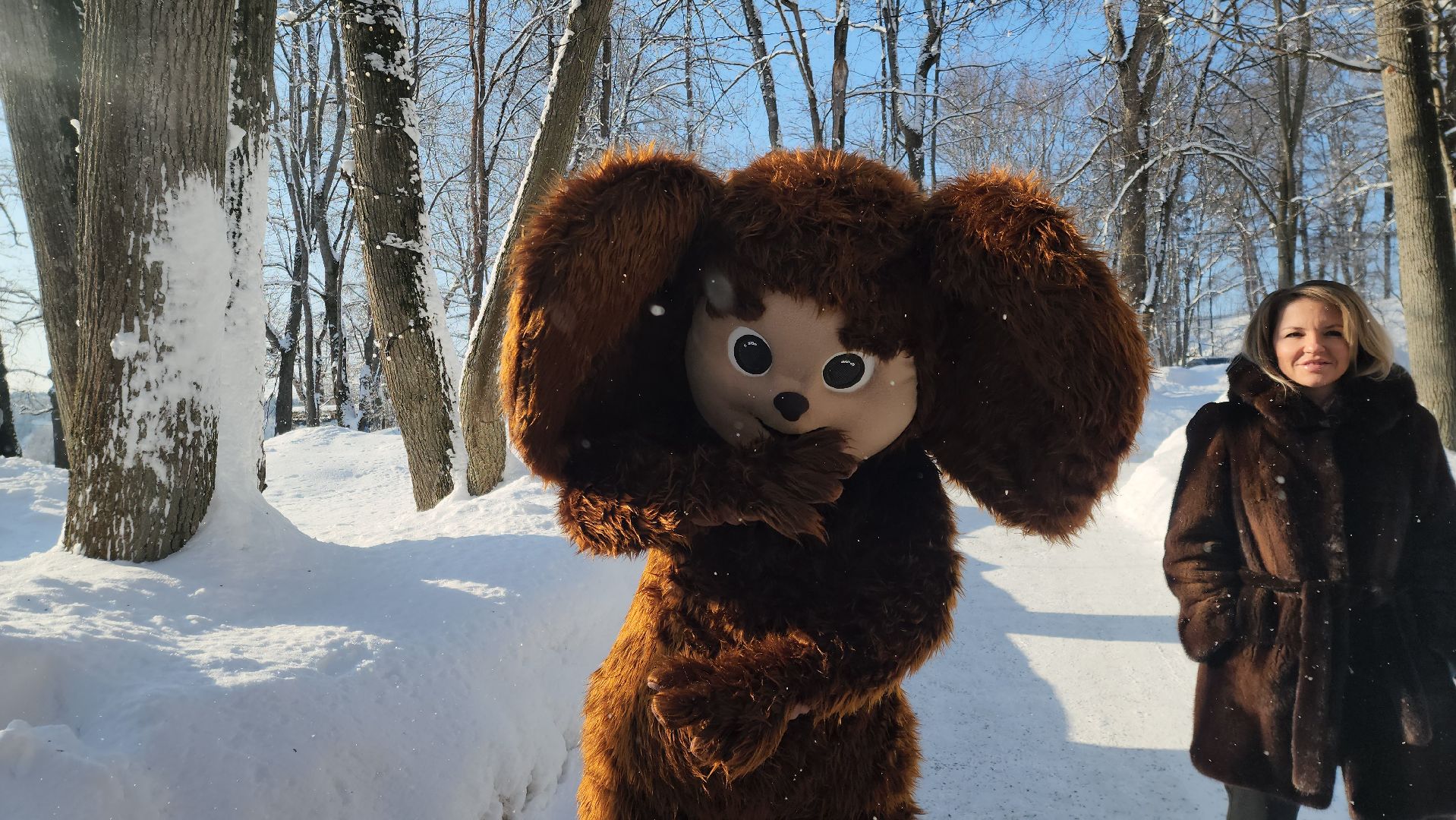 стартуют все, парки подмосковья, спорт в подмосковье, руза, рузский городской округ, московская область, спорт в Рузе,