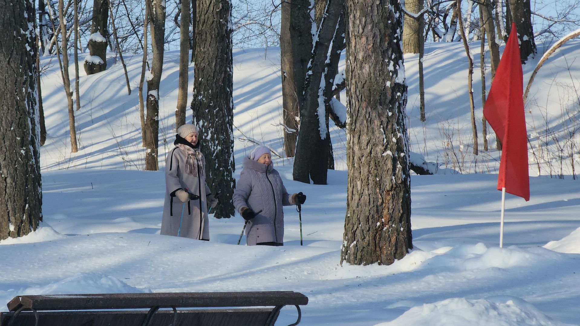 стартуют все, парки подмосковья, спорт в подмосковье, руза, рузский городской округ, московская область, спорт в Рузе,