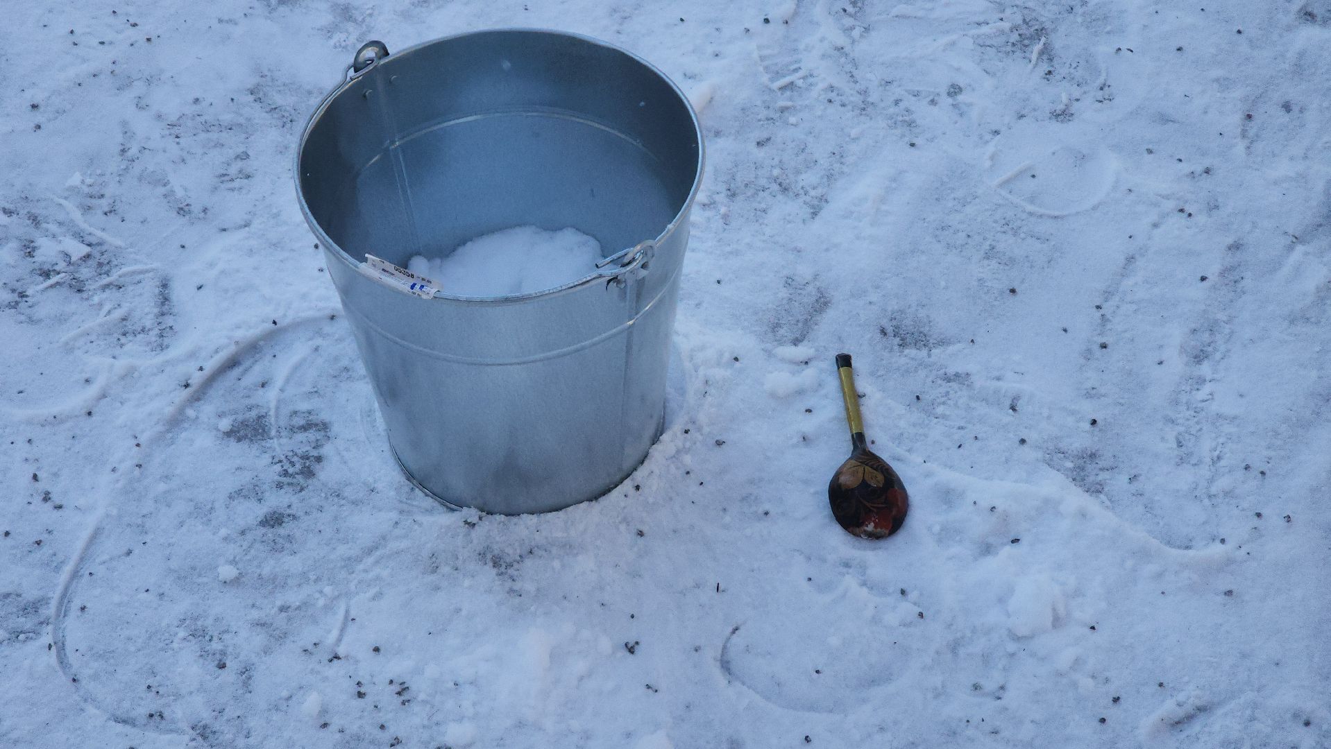 спорт в подмосковье, спорт в рузе, парки, зима 2024, зима в парке, зима в подмосковье, руза,