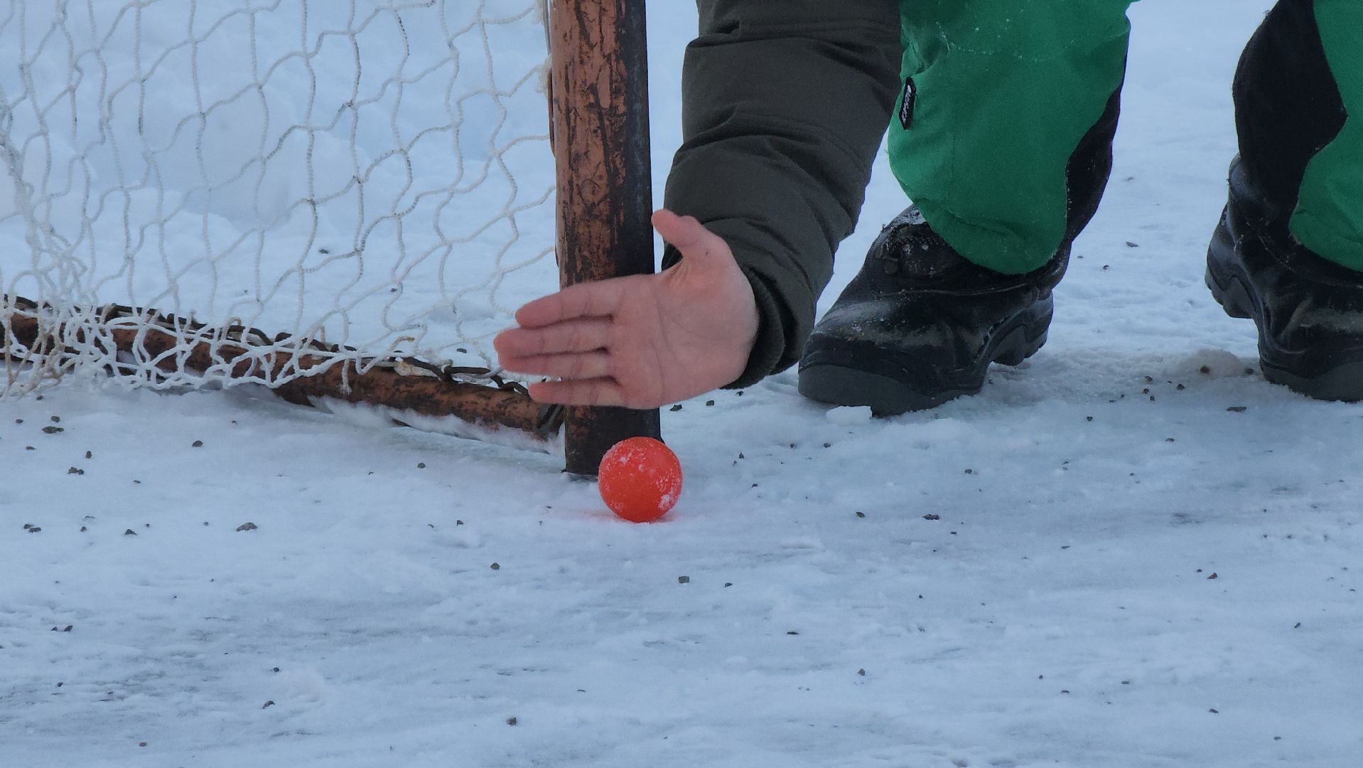 спорт в подмосковье, спорт в рузе, парки, зима 2024, зима в парке, зима в подмосковье, руза,