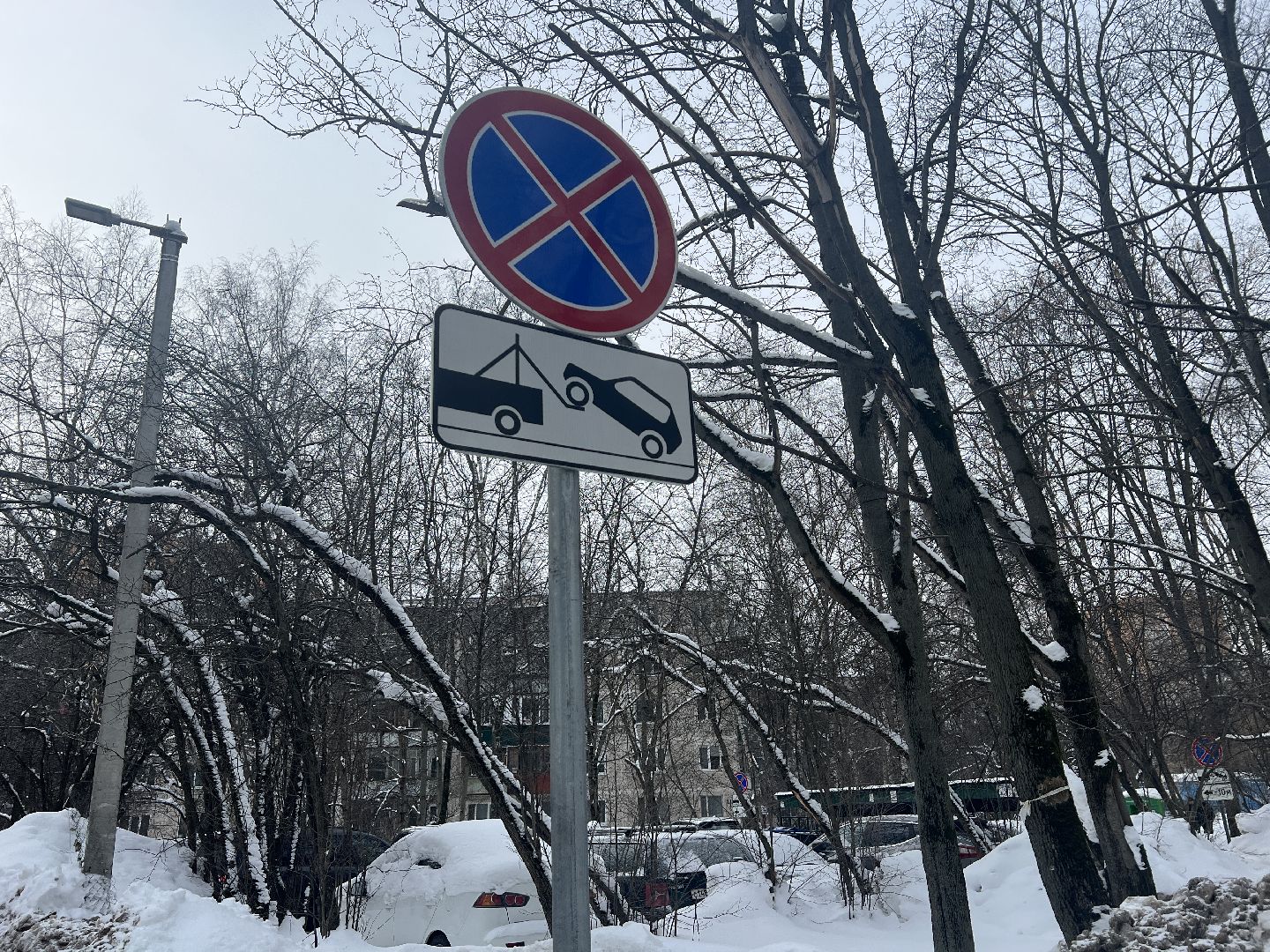 химки, благоустройство, дорожные знаки во дворах, вывоз мусора, контейнерная площадка,