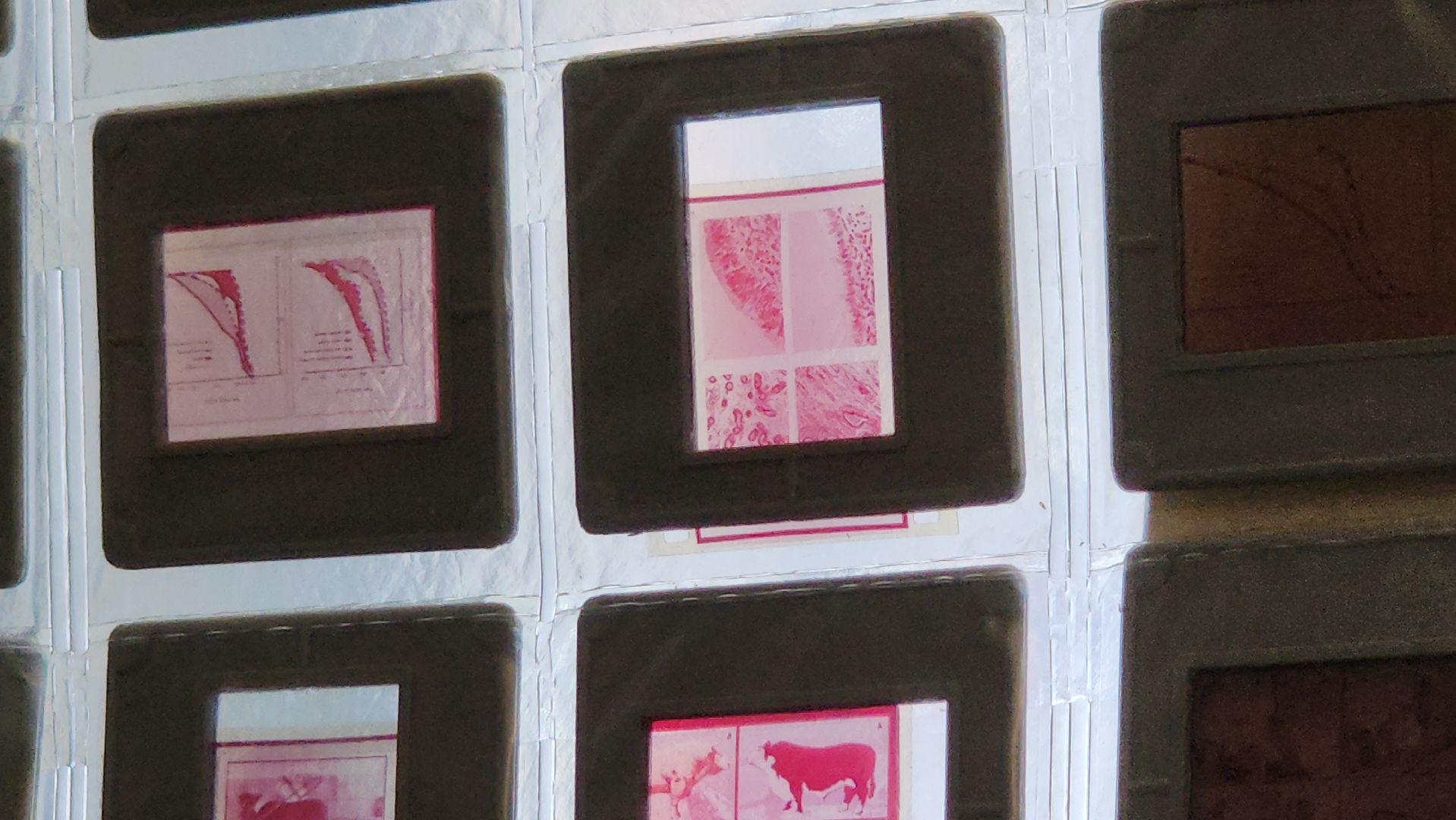 подольск, история, медицина, эко,