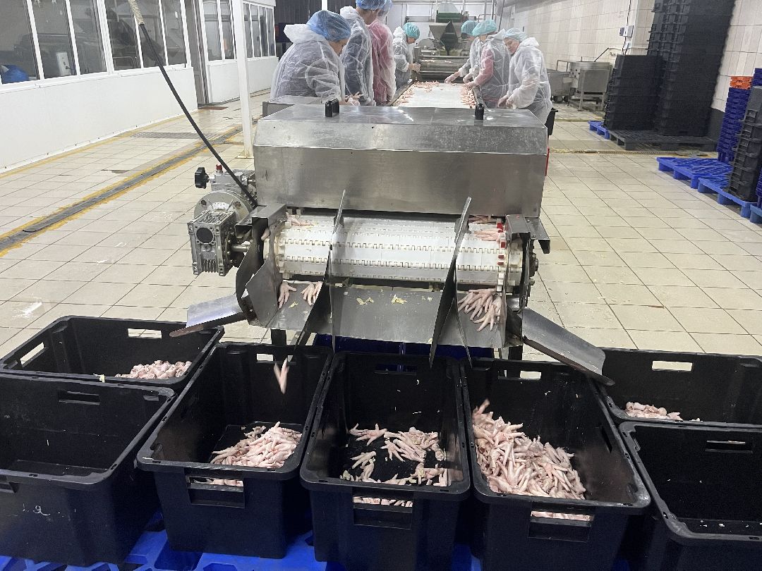 Шаховская, предприятие, Китай, импорт