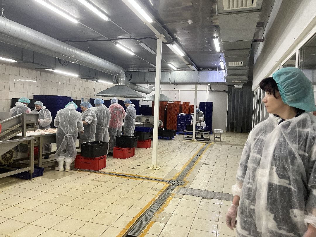 Шаховская, предприятие, Китай, импорт