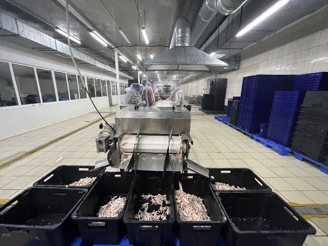 Шаховская, предприятие, Китай, импорт