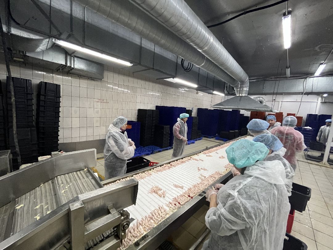 Шаховская, предприятие, Китай, импорт