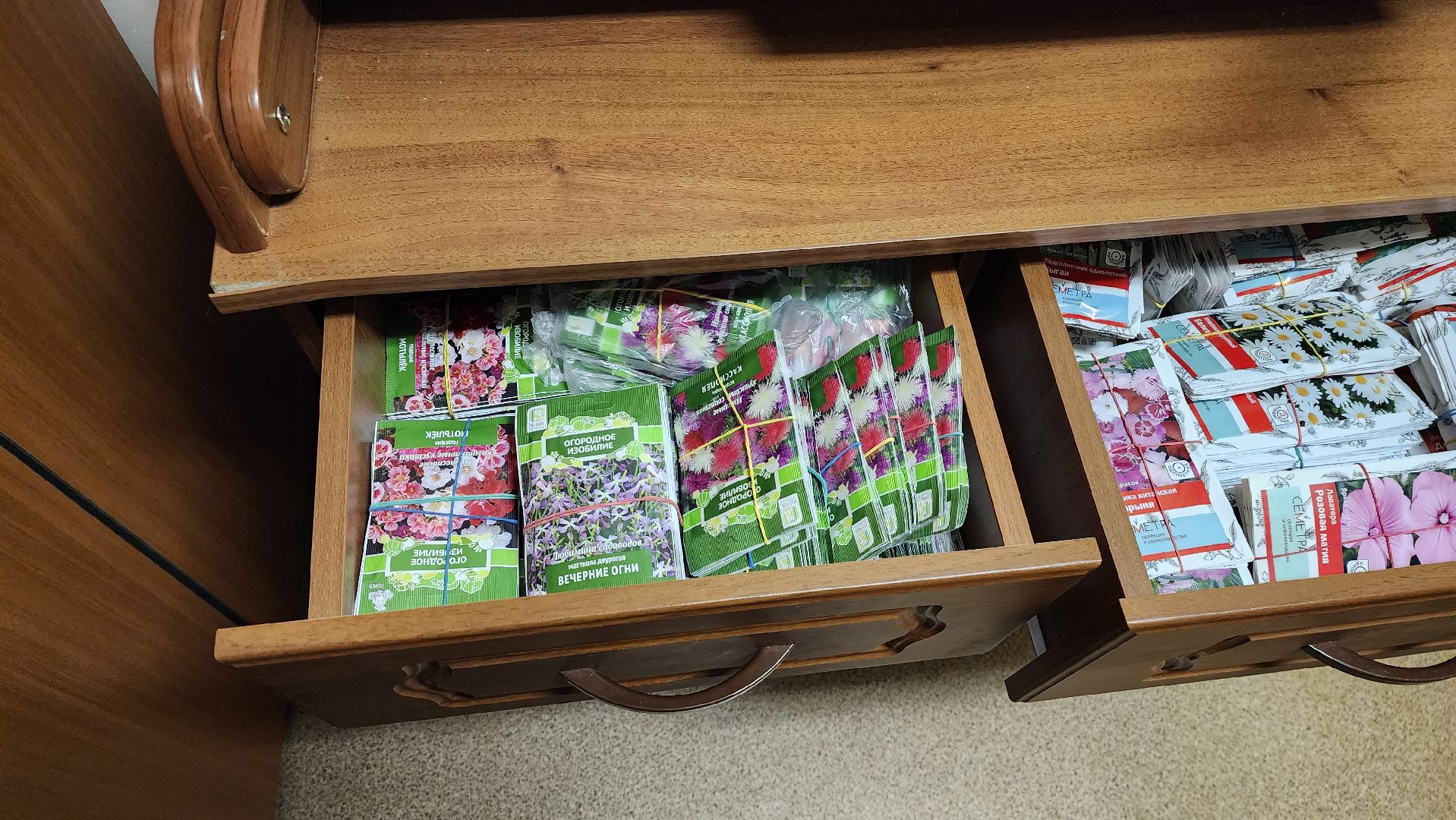 Город-сад, движение, волонтеры, Поиск, Гавриш, Пушкарва, семена, раздача, бесплатно,