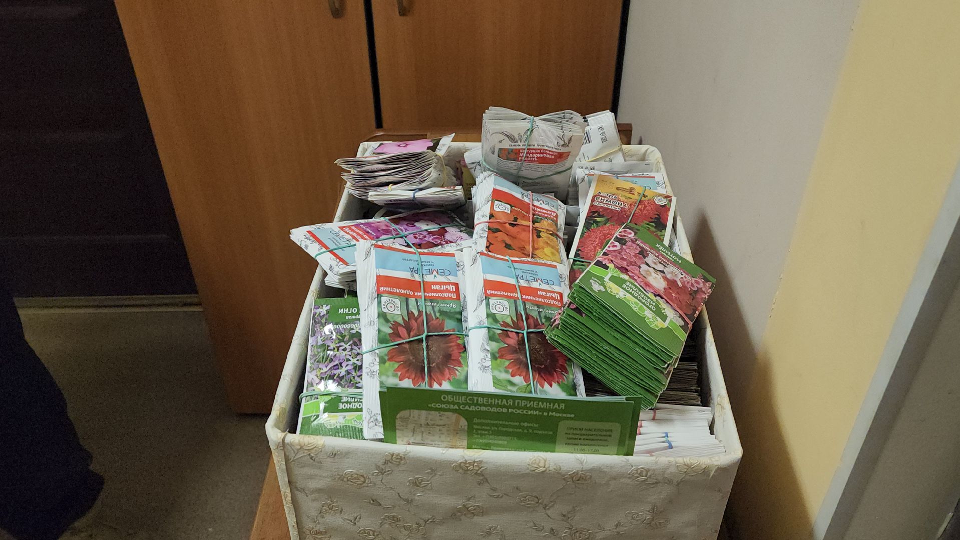 Город-сад, движение, волонтеры, Поиск, Гавриш, Пушкарва, семена, раздача, бесплатно,