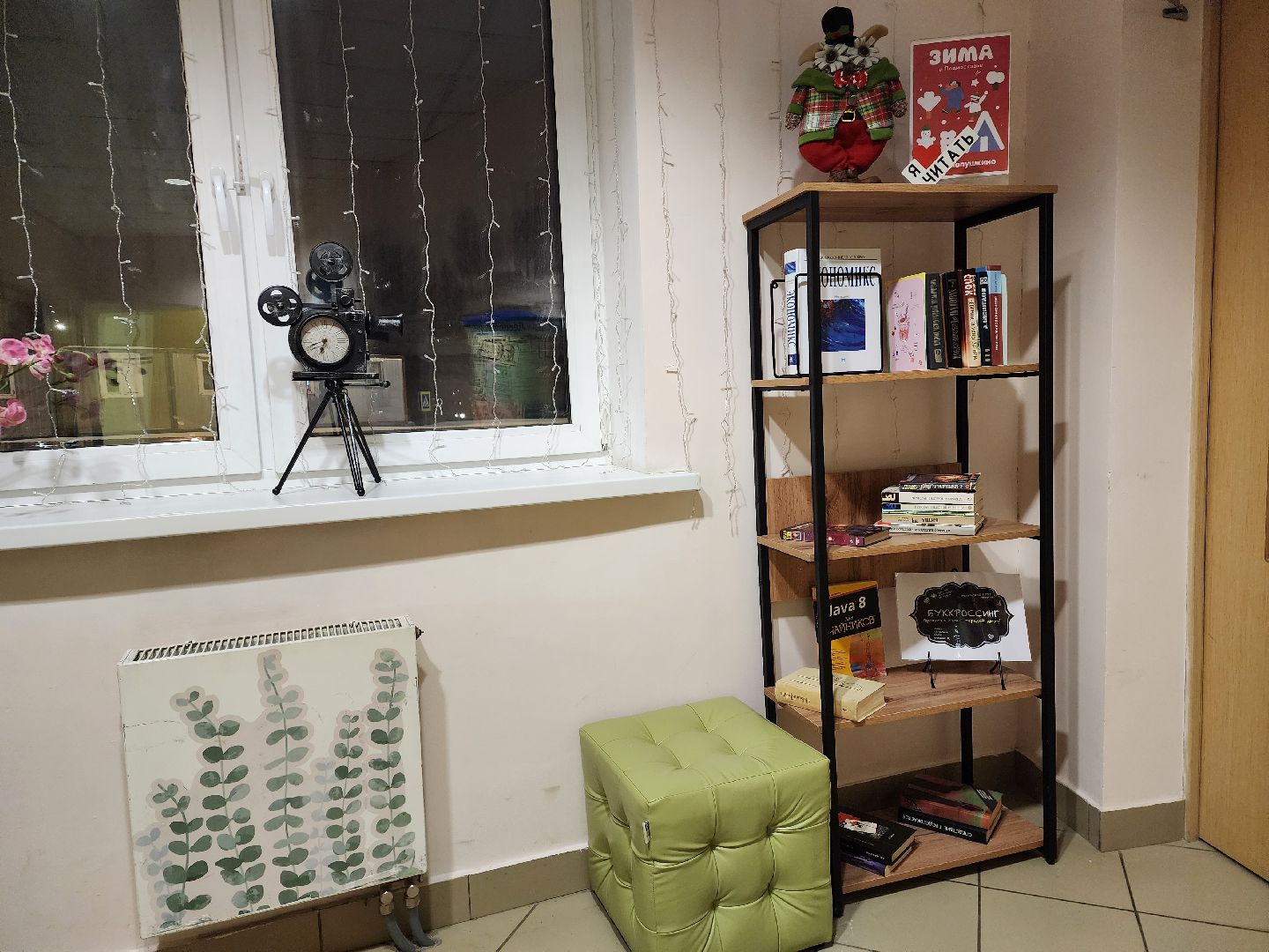 пушкино, библиотека, книги, акция, акция из рук в руки, день книгодарения,