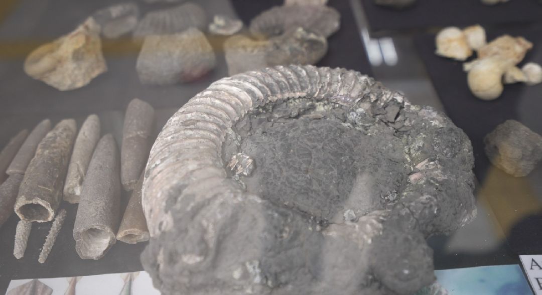 Домодедово, поисковики, артефакт, орудие каменного века