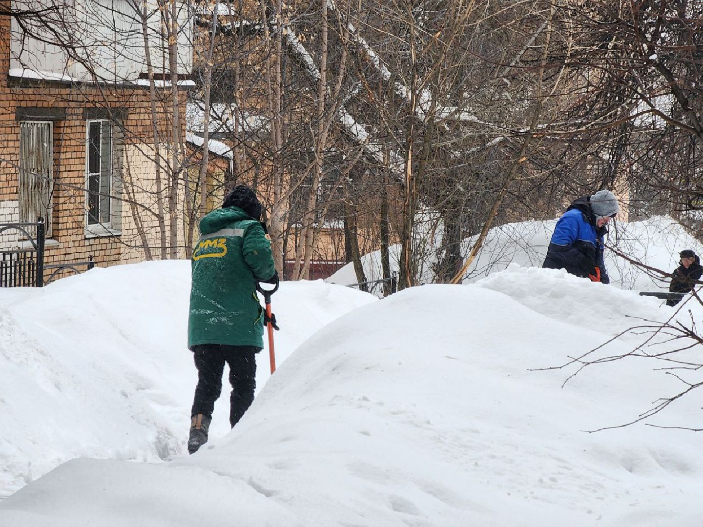 мытищи, жкх, снегопад, дворники, борьба со снегопадом,