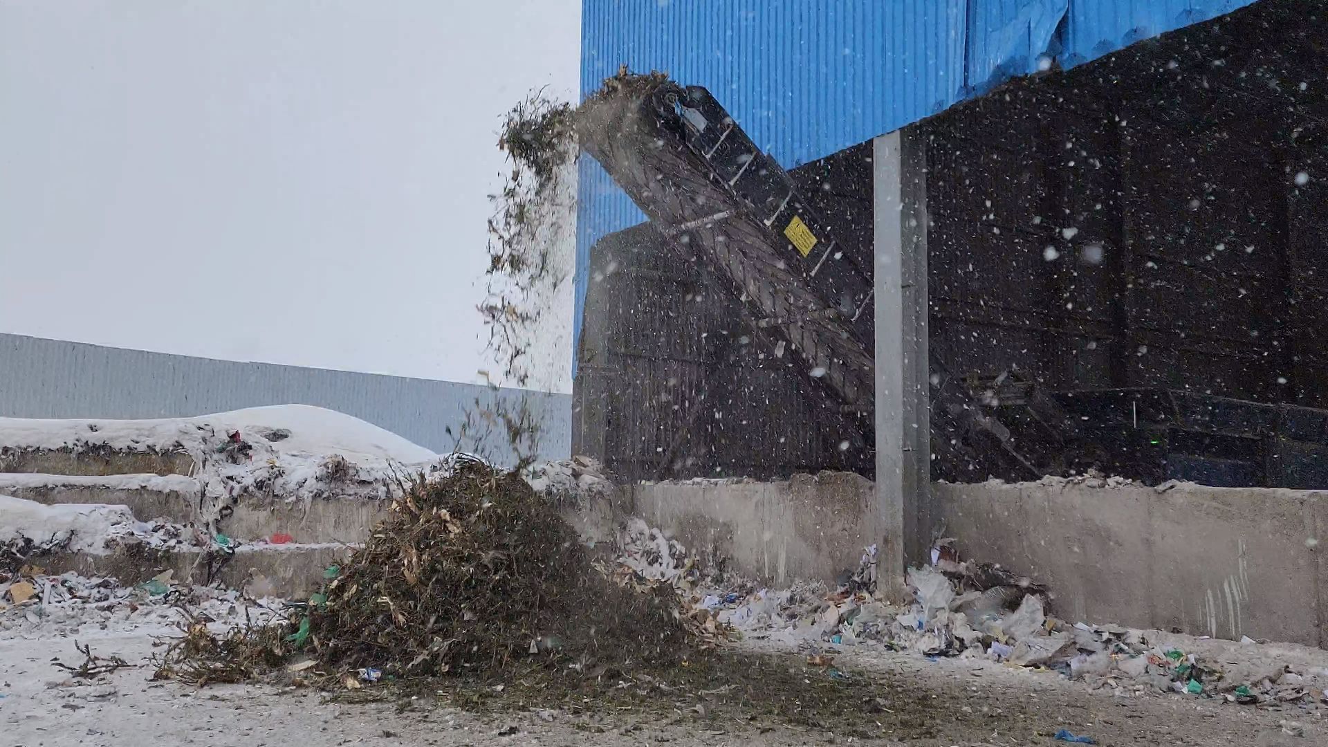 КПО, Егорьевск, подари елке вторую жизнь, Подмосковье, экология, московская область,