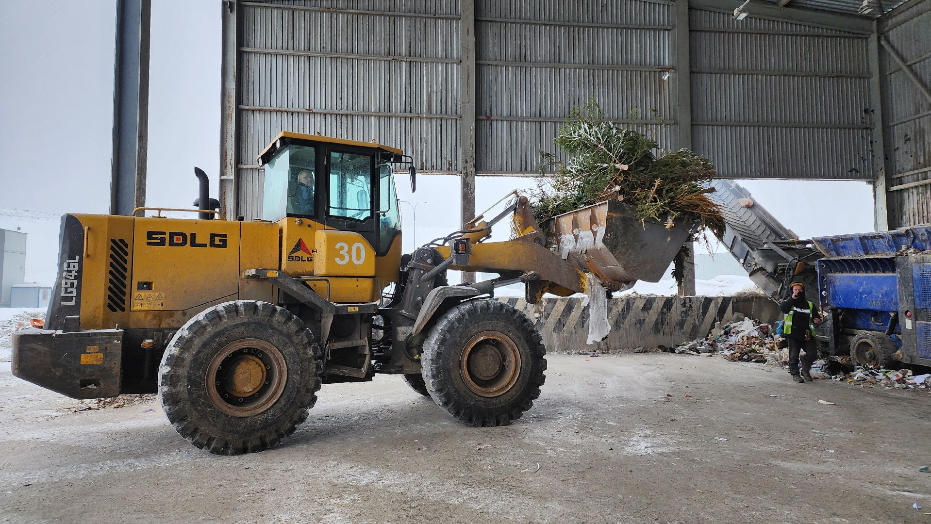 КПО, Егорьевск, подари елке вторую жизнь, Подмосковье, экология, московская область,