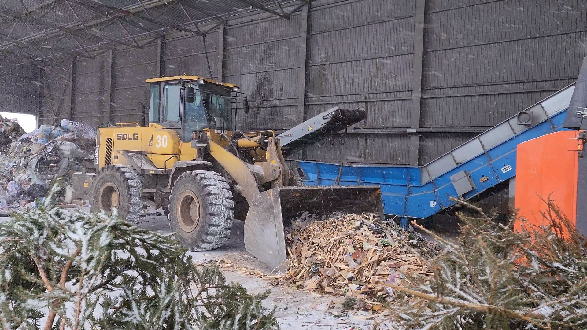 КПО, Егорьевск, подари елке вторую жизнь, Подмосковье, экология, московская область,