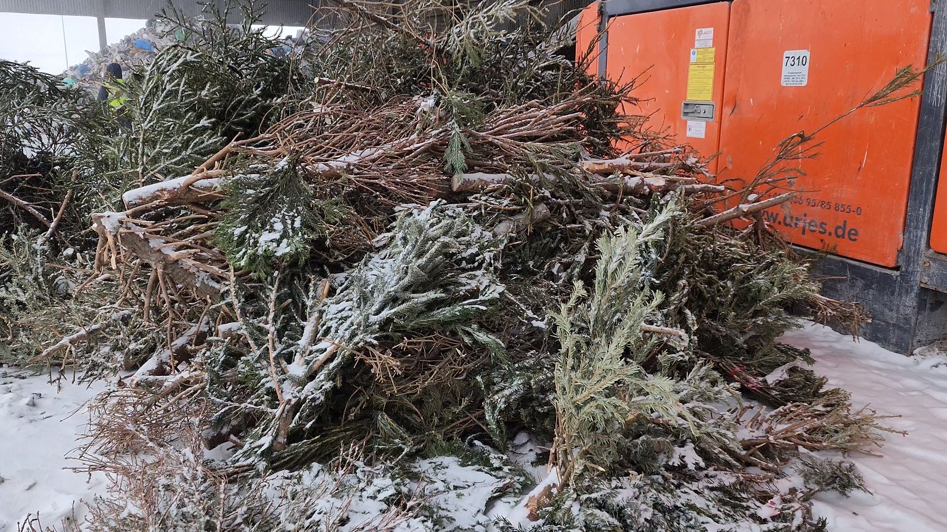 КПО, Егорьевск, подари елке вторую жизнь, Подмосковье, экология, московская область,