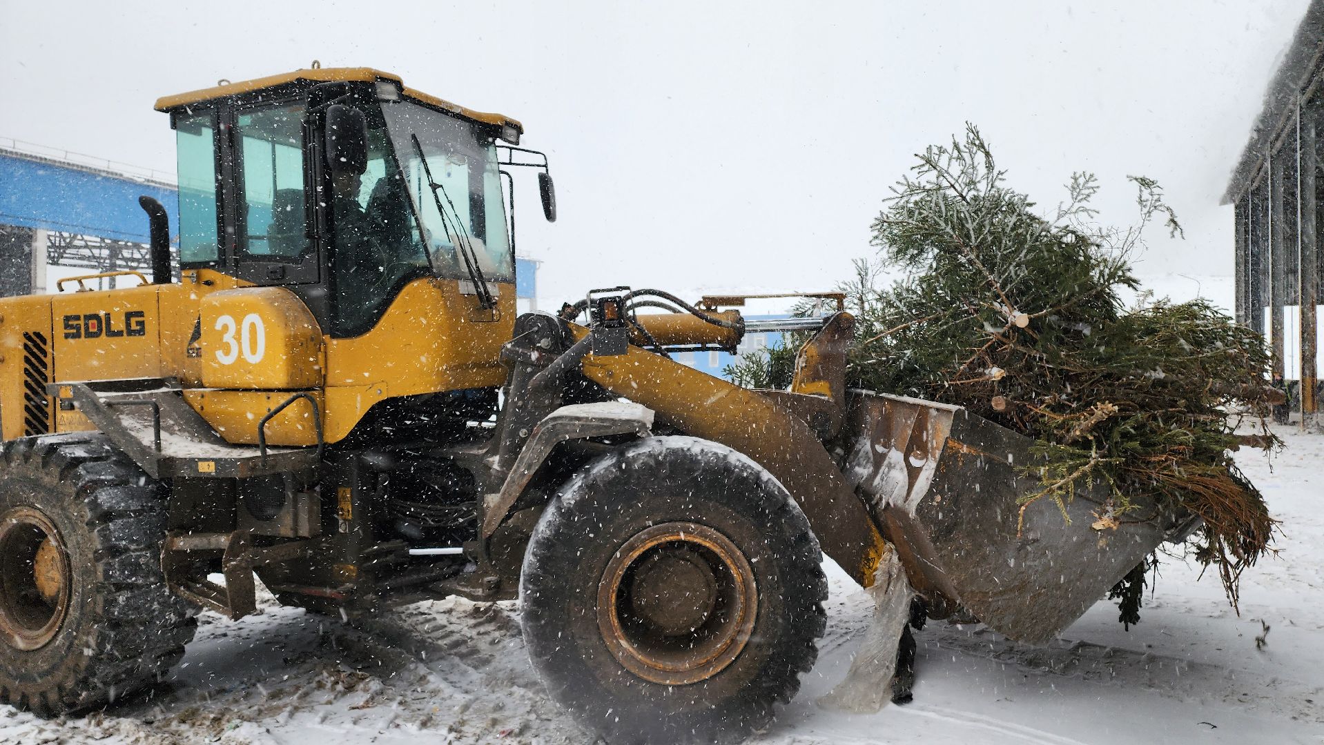 КПО, Егорьевск, подари елке вторую жизнь, Подмосковье, экология, московская область,