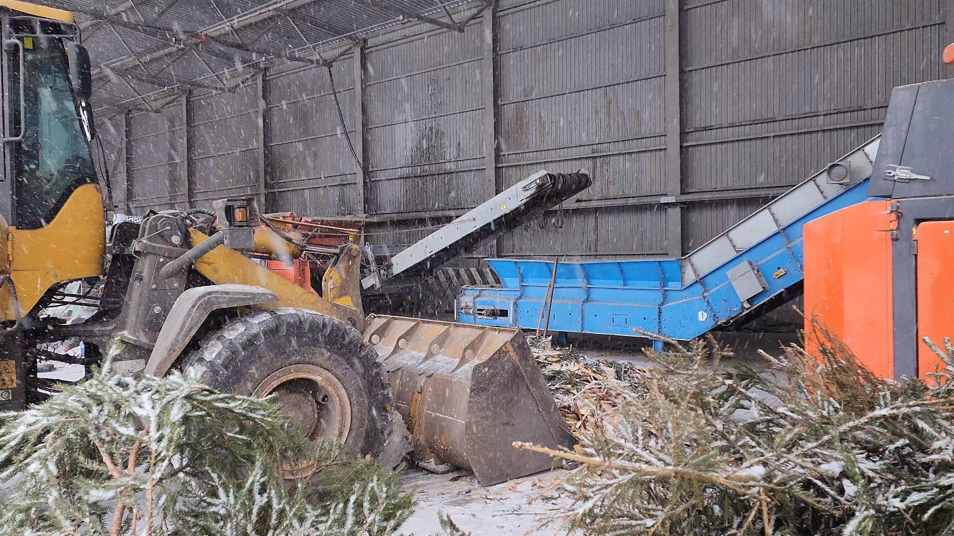 КПО, Егорьевск, подари елке вторую жизнь, Подмосковье, экология, московская область,