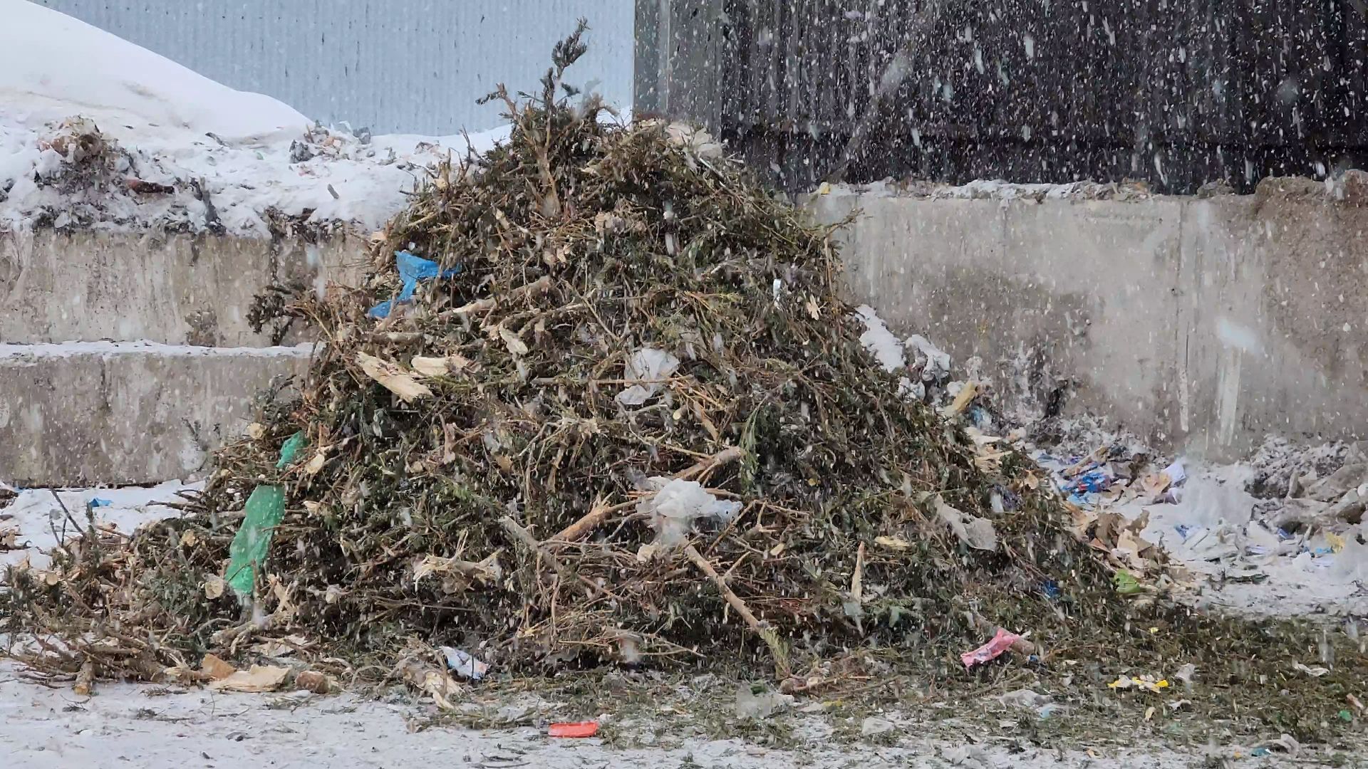 КПО, Егорьевск, подари елке вторую жизнь, Подмосковье, экология, московская область,