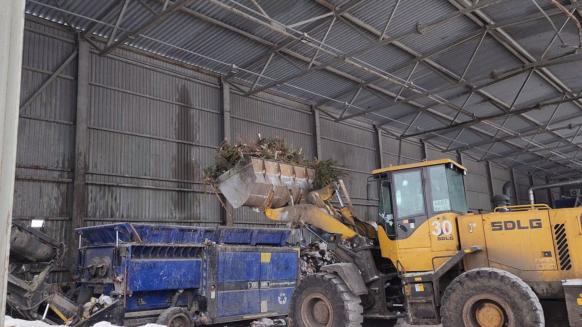 КПО, Егорьевск, подари елке вторую жизнь, Подмосковье, экология, московская область,